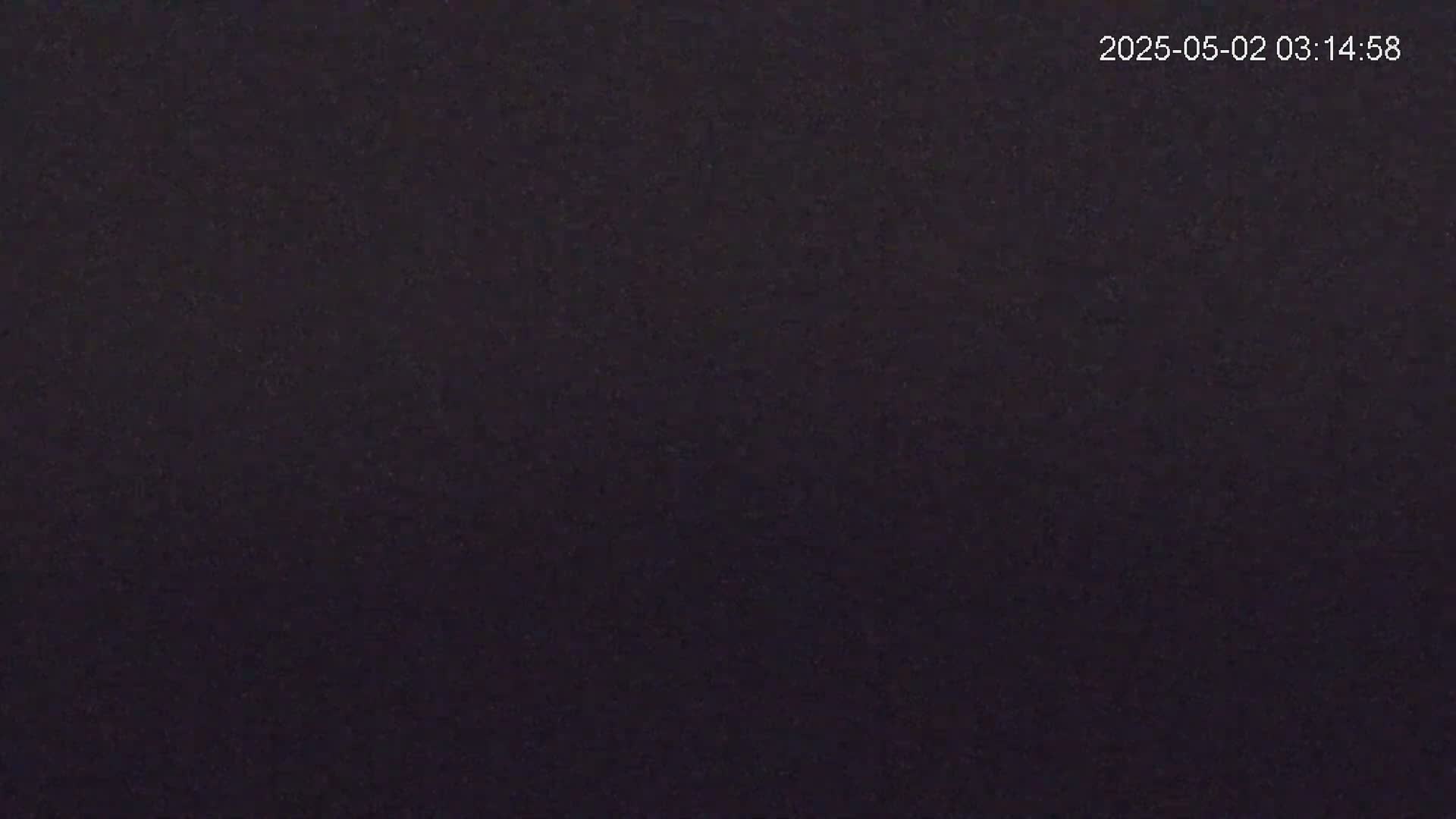 The image shows a dark, uniformly textured surface.