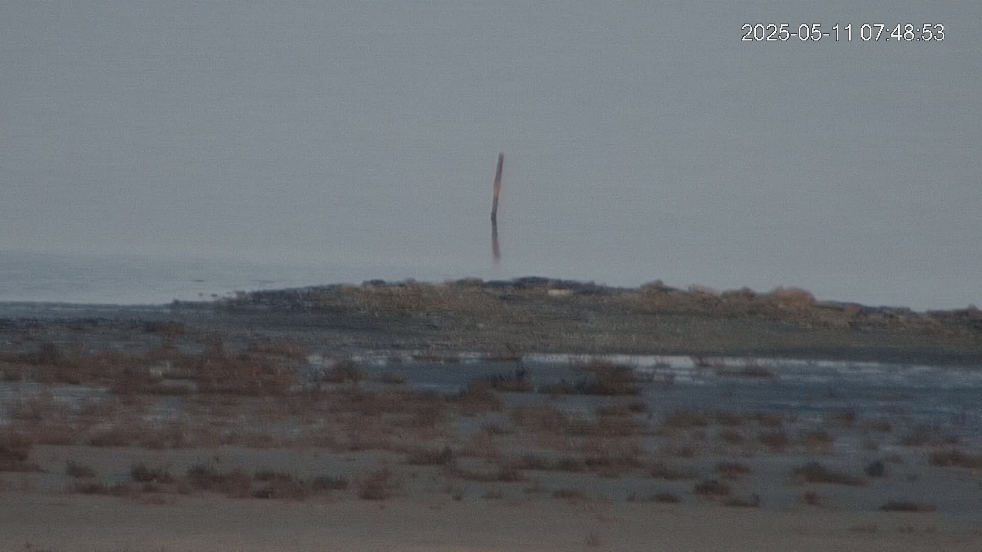 A single, thin, vertical post stands in calm, gray water near a low-lying, barren shoreline.