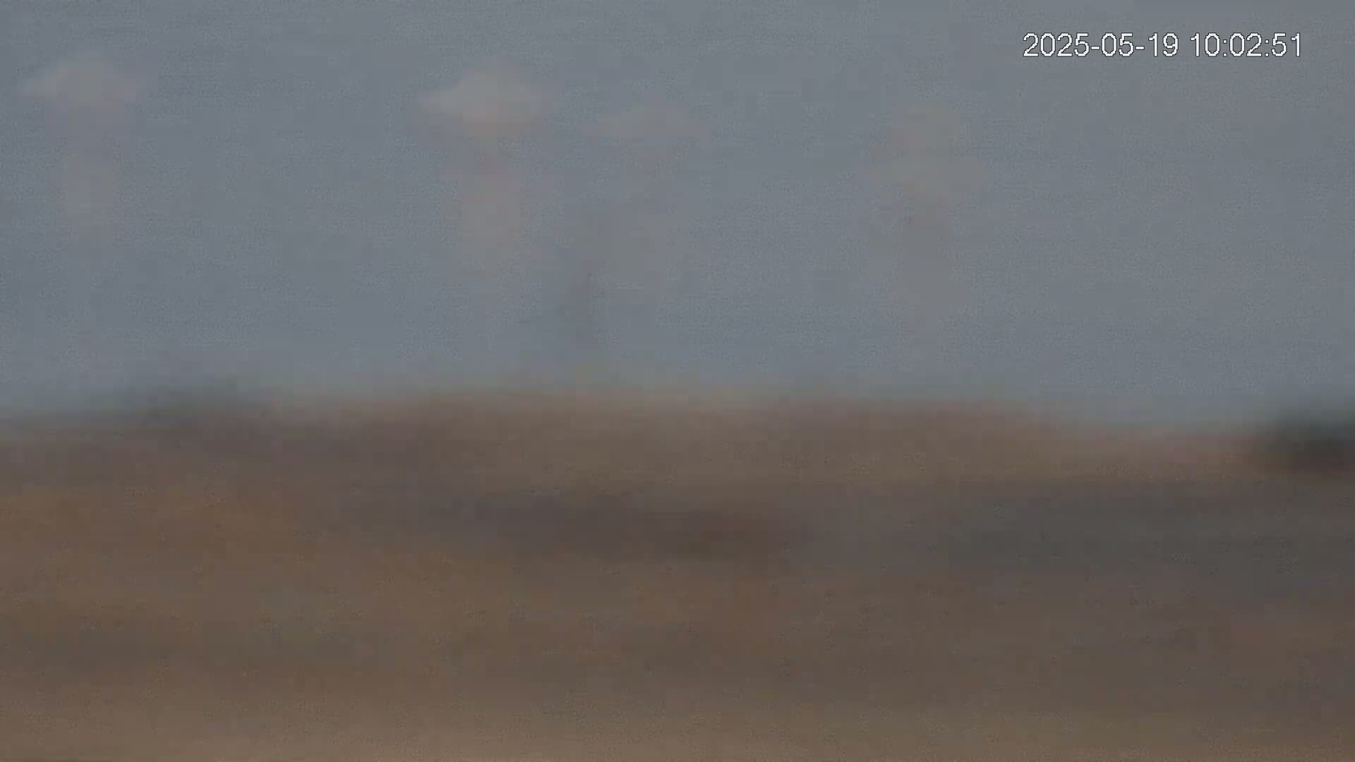 A blurry, overcast image shows a flat, brown landscape under a pale gray sky.