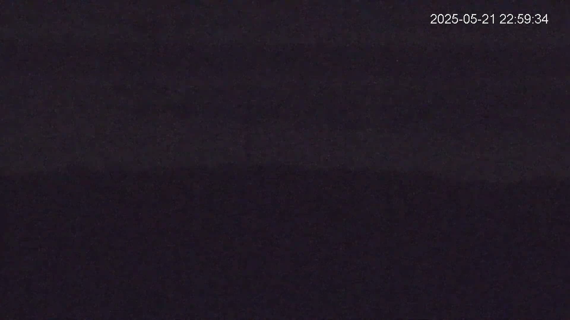 The image shows a dark, uniformly colored surface under what appears to be nighttime conditions.