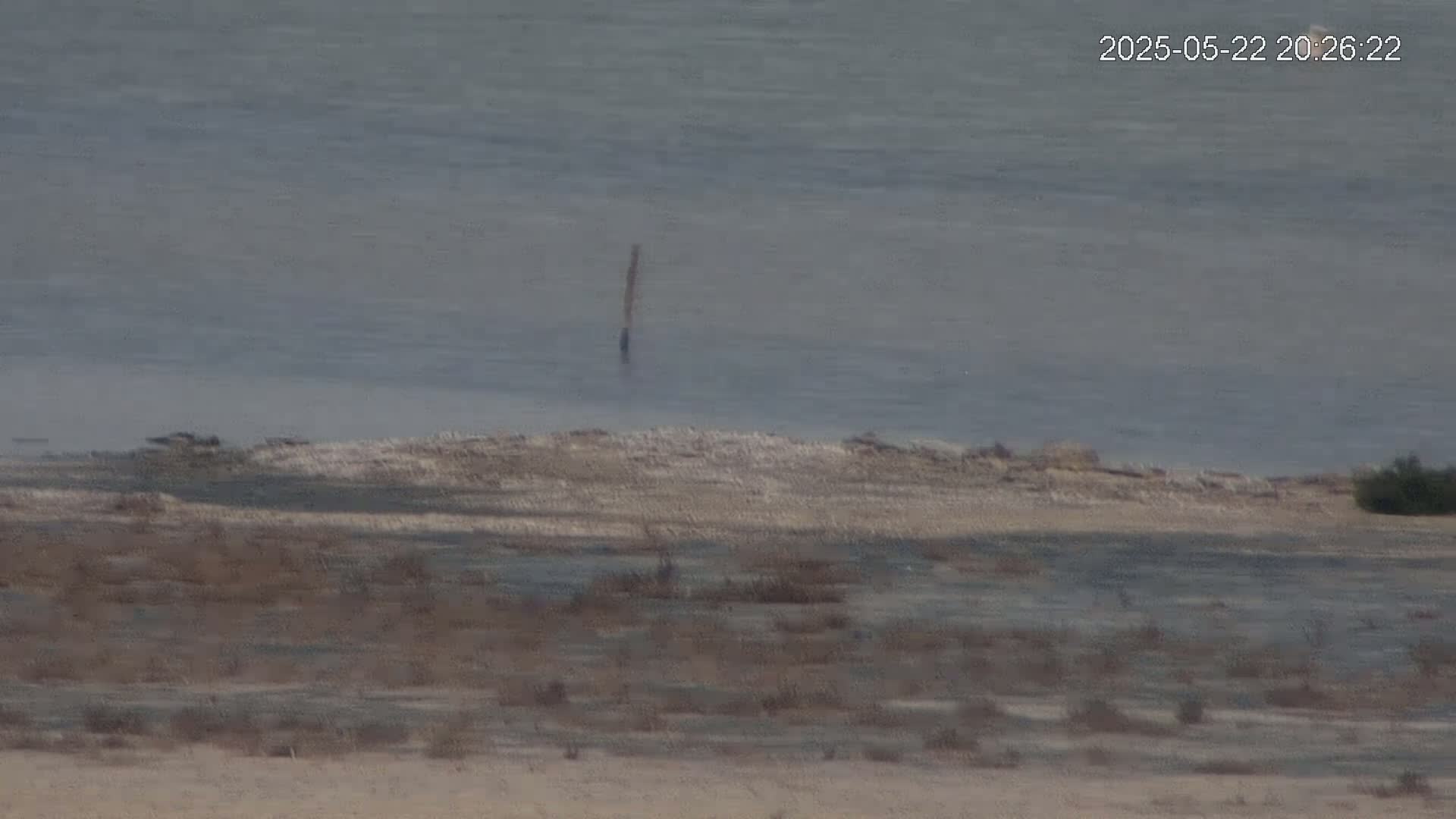A mostly calm body of water is seen from a distance, with a single post standing in the shallows near a sparsely vegetated shoreline.