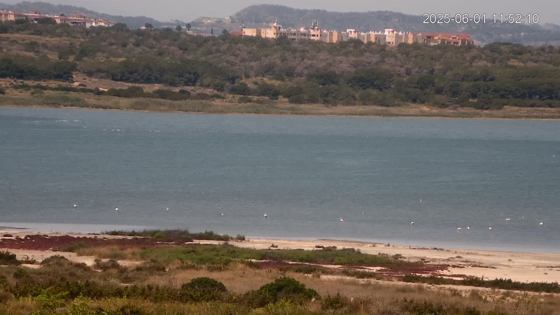 A large body of calm, blue water stretches out before a sandy shore and scrubland, with a line of buildings visible on a hill in the background.
