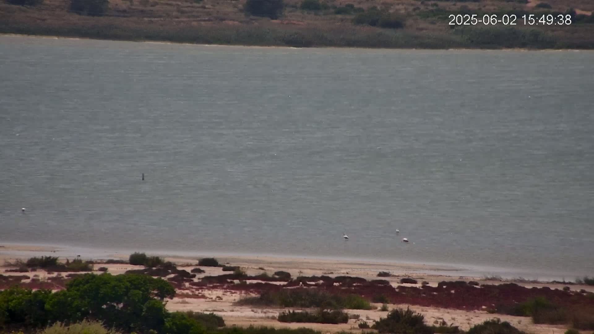 A large body of calm, grey water is seen from an elevated viewpoint, with a sandy shore featuring low-lying reddish-brown vegetation in the foreground.