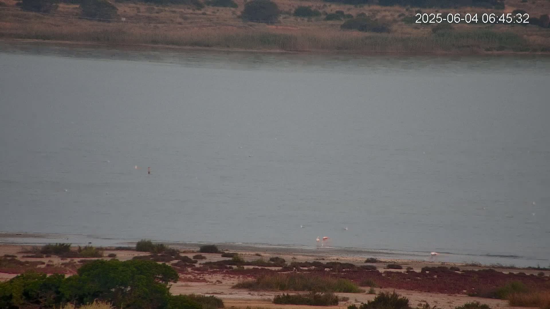 Laguna Salada de La Mata Lagoon Lake & -Parque Natural Lagunas de La Mata y Torrevieja Natural Park Live Cam - Torrevieja, Alicante, Valencia, Spain 