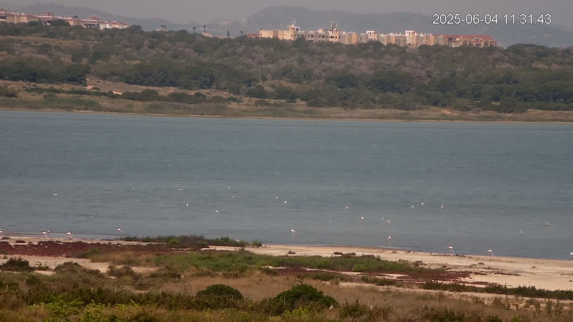 A calm body of water stretches toward a hilly shoreline dotted with low-lying vegetation and a cluster of buildings in the distance, with a few pink flamingos visible near the water's edge.