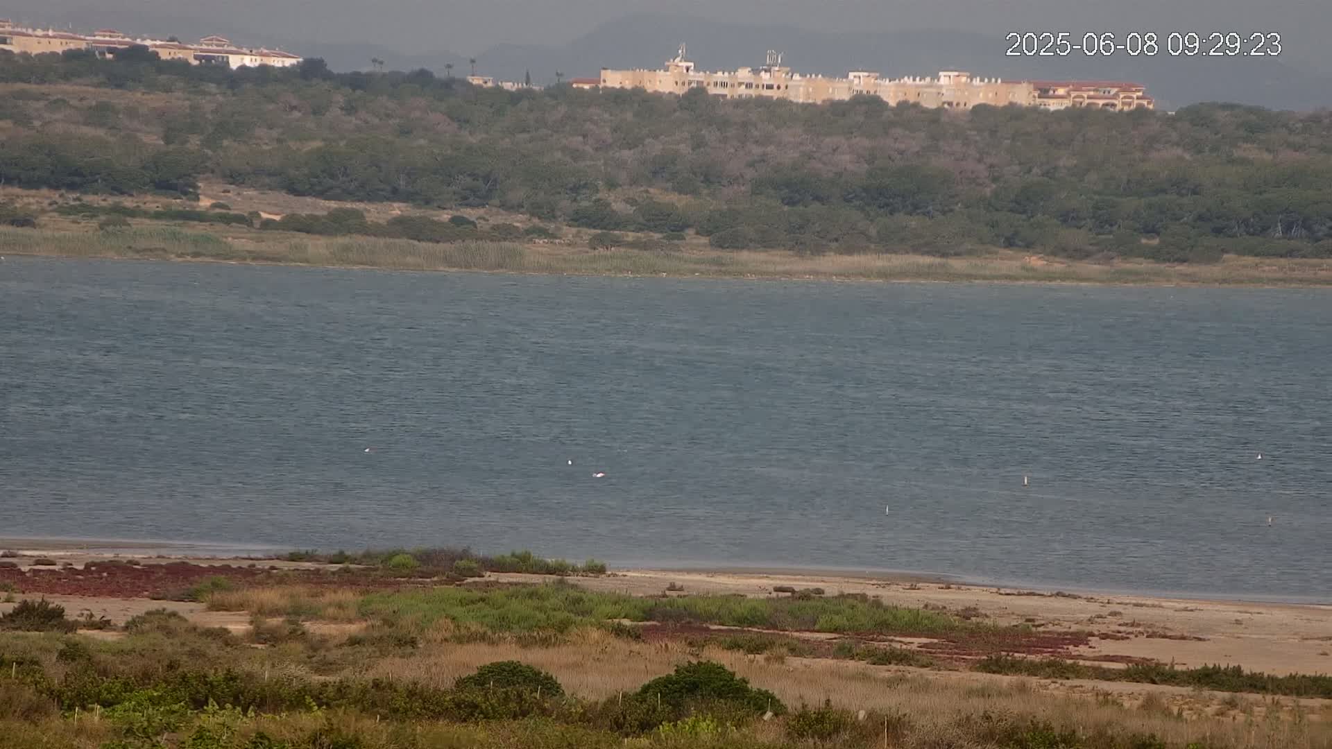 A large body of calm, gray-blue water stretches out before a hilly landscape with low-lying vegetation and a cluster of buildings in the distance under an overcast sky.