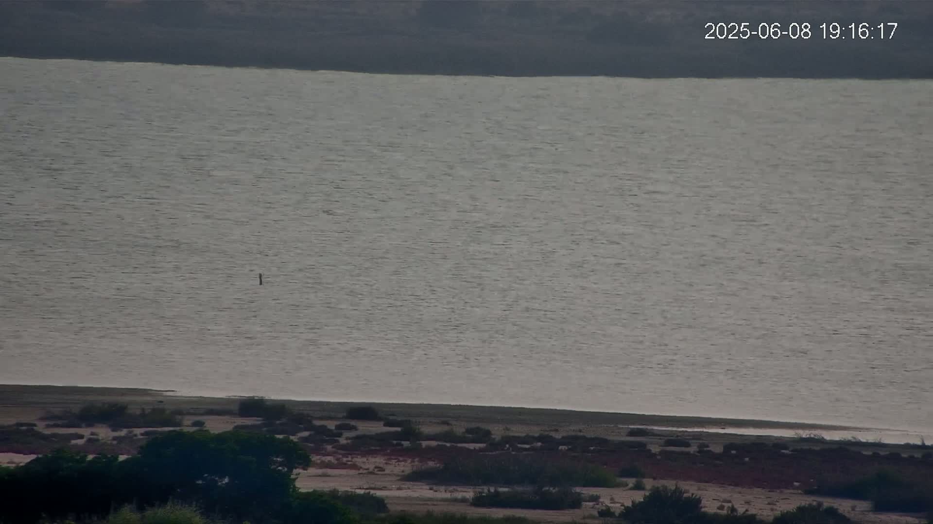 A large body of calm, grey water stretches to a flat, scrub-covered shoreline.