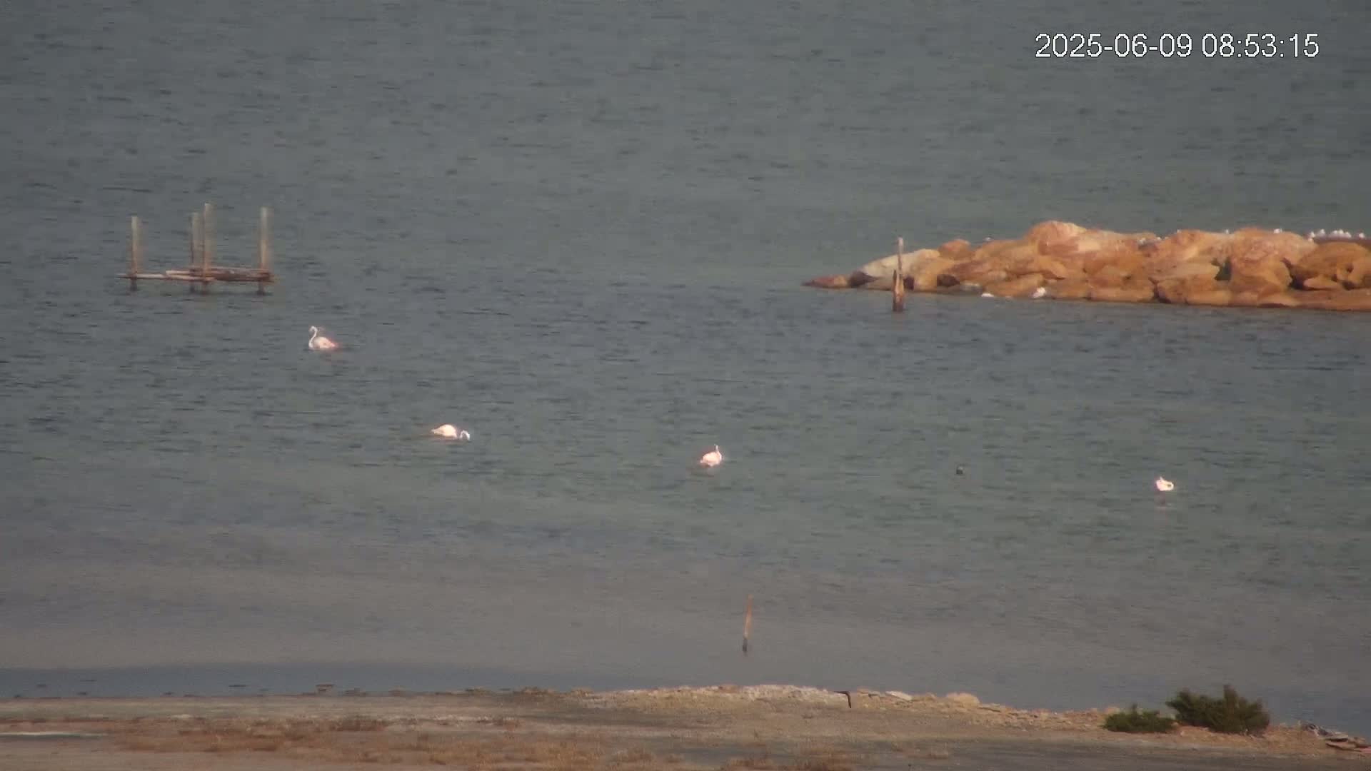 Laguna Salada de La Mata Lagoon Lake & -Parque Natural Lagunas de La Mata y Torrevieja Natural Park Live Cam - Torrevieja, Alicante, Valencia, Spain 