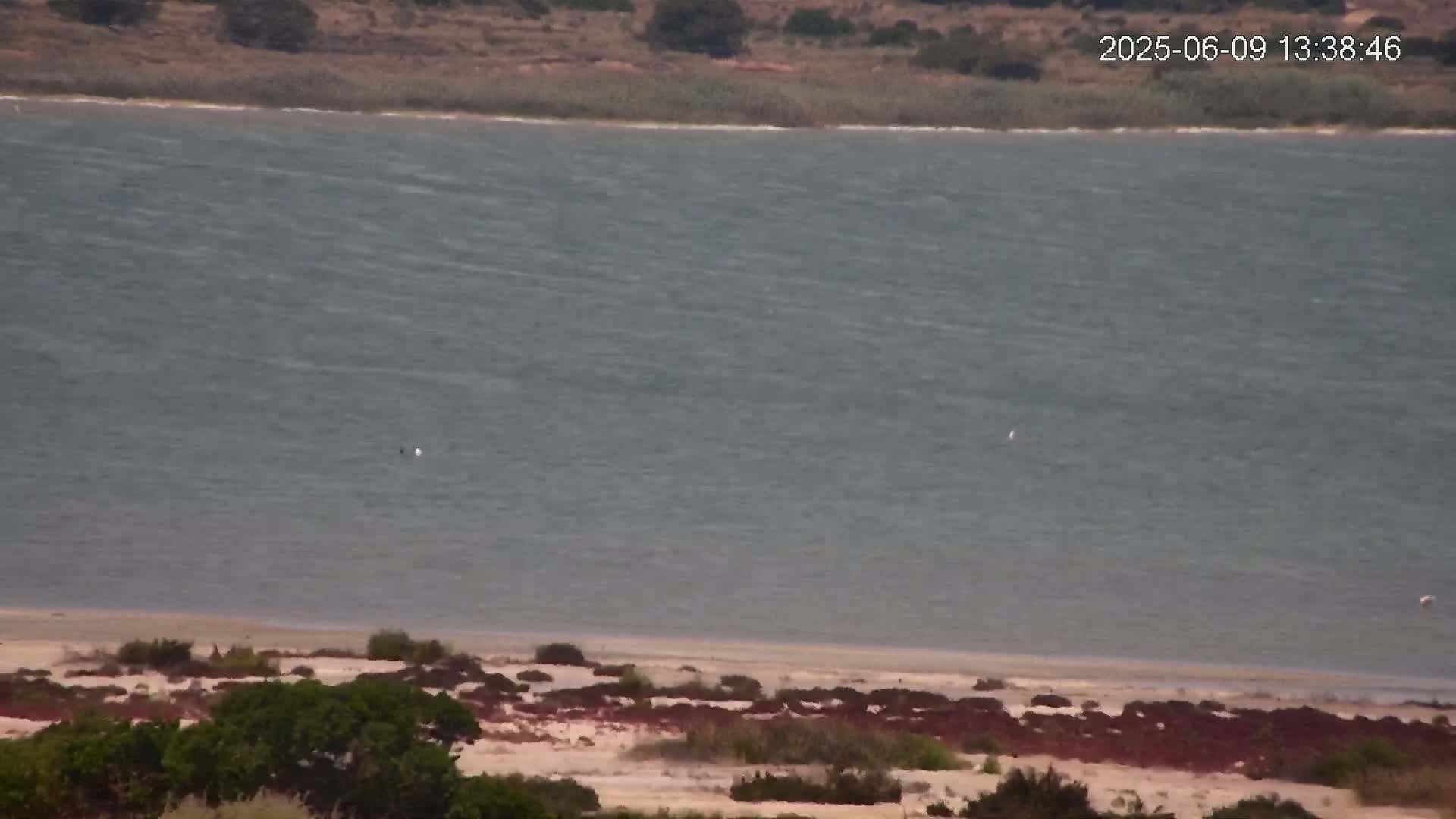 A large body of water with small waves laps against a sandy shore lined with low-lying vegetation under a partly cloudy sky.
