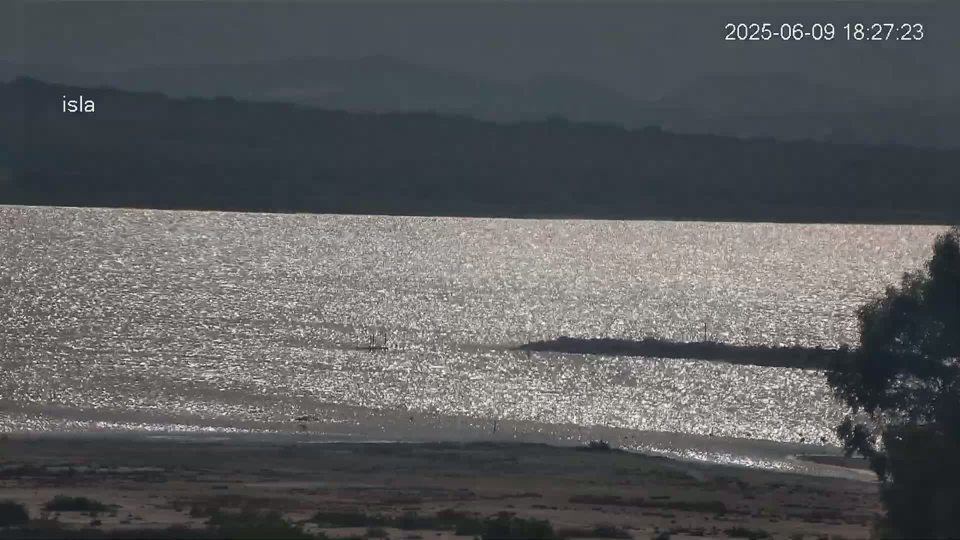 A body of water glistens under a mostly cloudy sky, with a dark shoreline and a tree partially obscuring the view in the lower right corner.