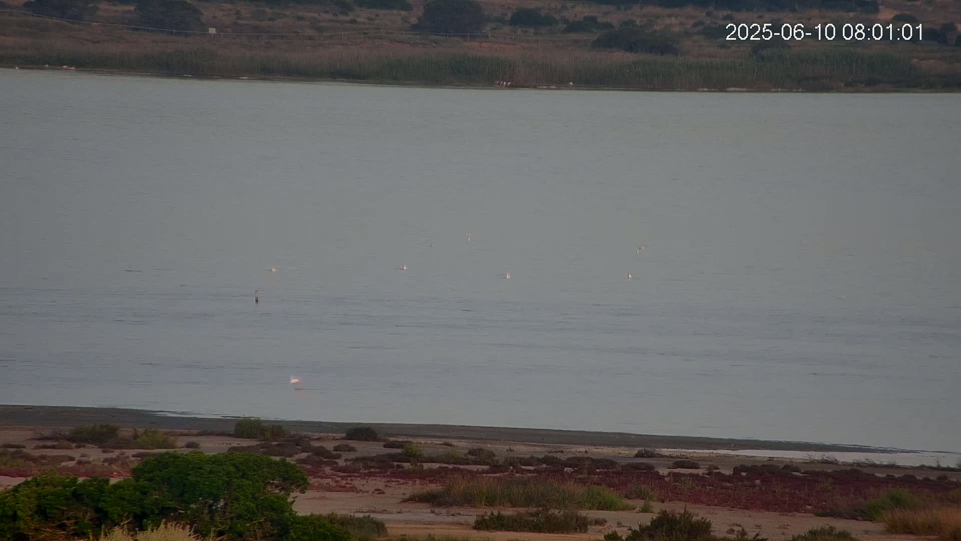 Laguna Salada de La Mata Lagoon Lake & -Parque Natural Lagunas de La Mata y Torrevieja Natural Park Live Cam - Torrevieja, Alicante, Valencia, Spain 