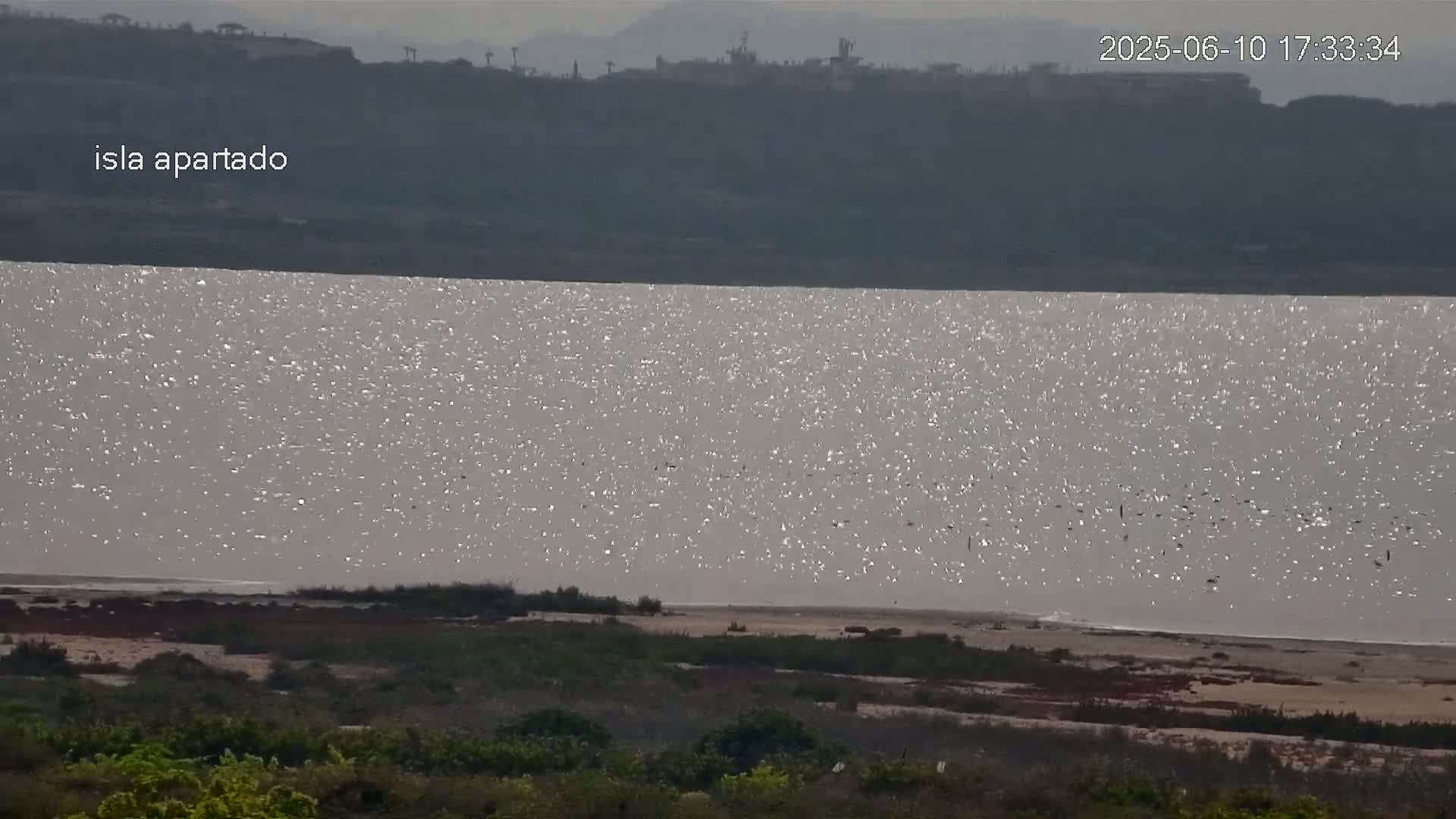 A large body of water reflecting sunlight, with a distant dark shoreline and low-lying vegetation in the foreground.