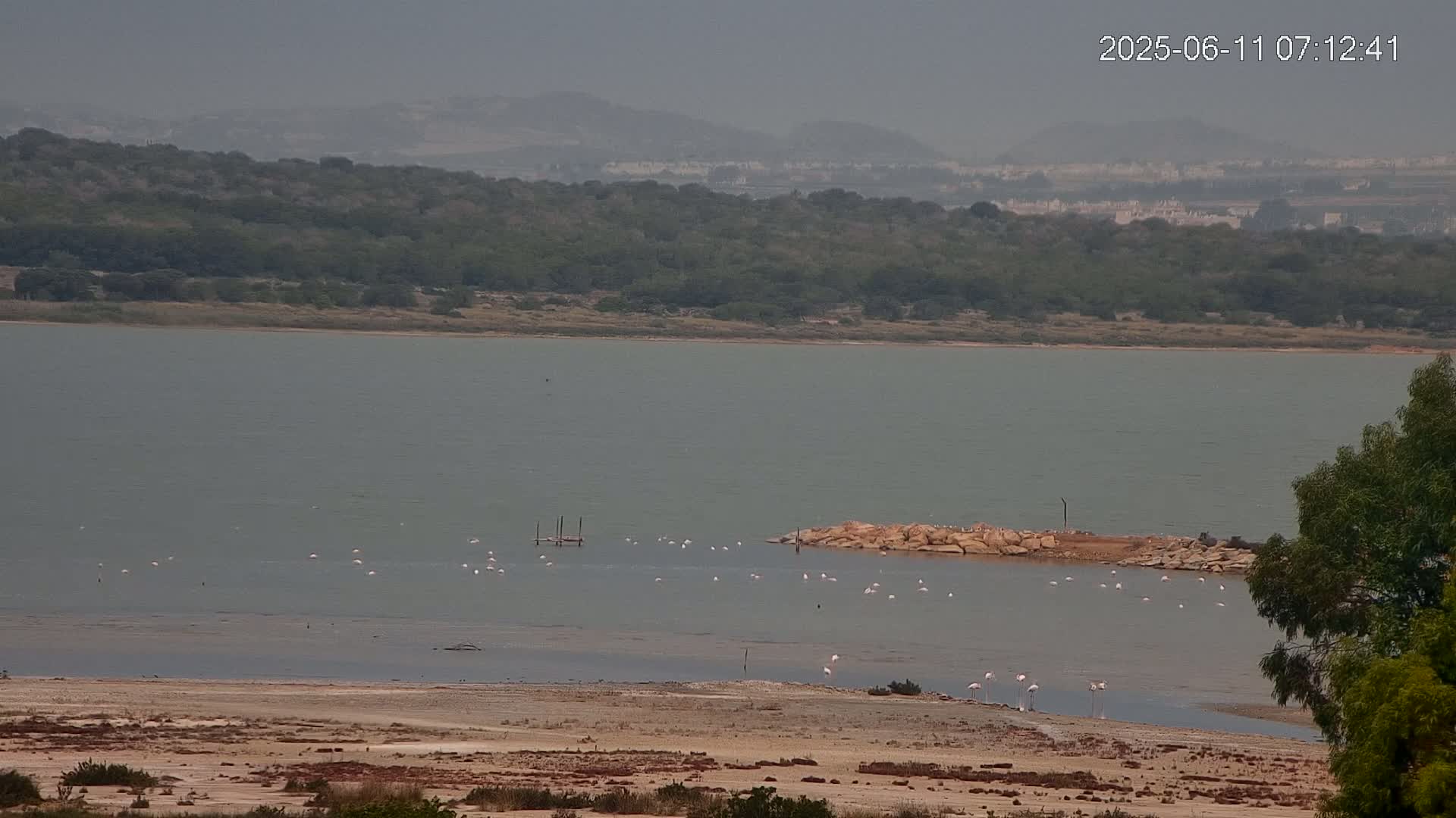 Laguna Salada de La Mata Lagoon Lake & -Parque Natural Lagunas de La Mata y Torrevieja Natural Park Live Cam - Torrevieja, Alicante, Valencia, Spain 