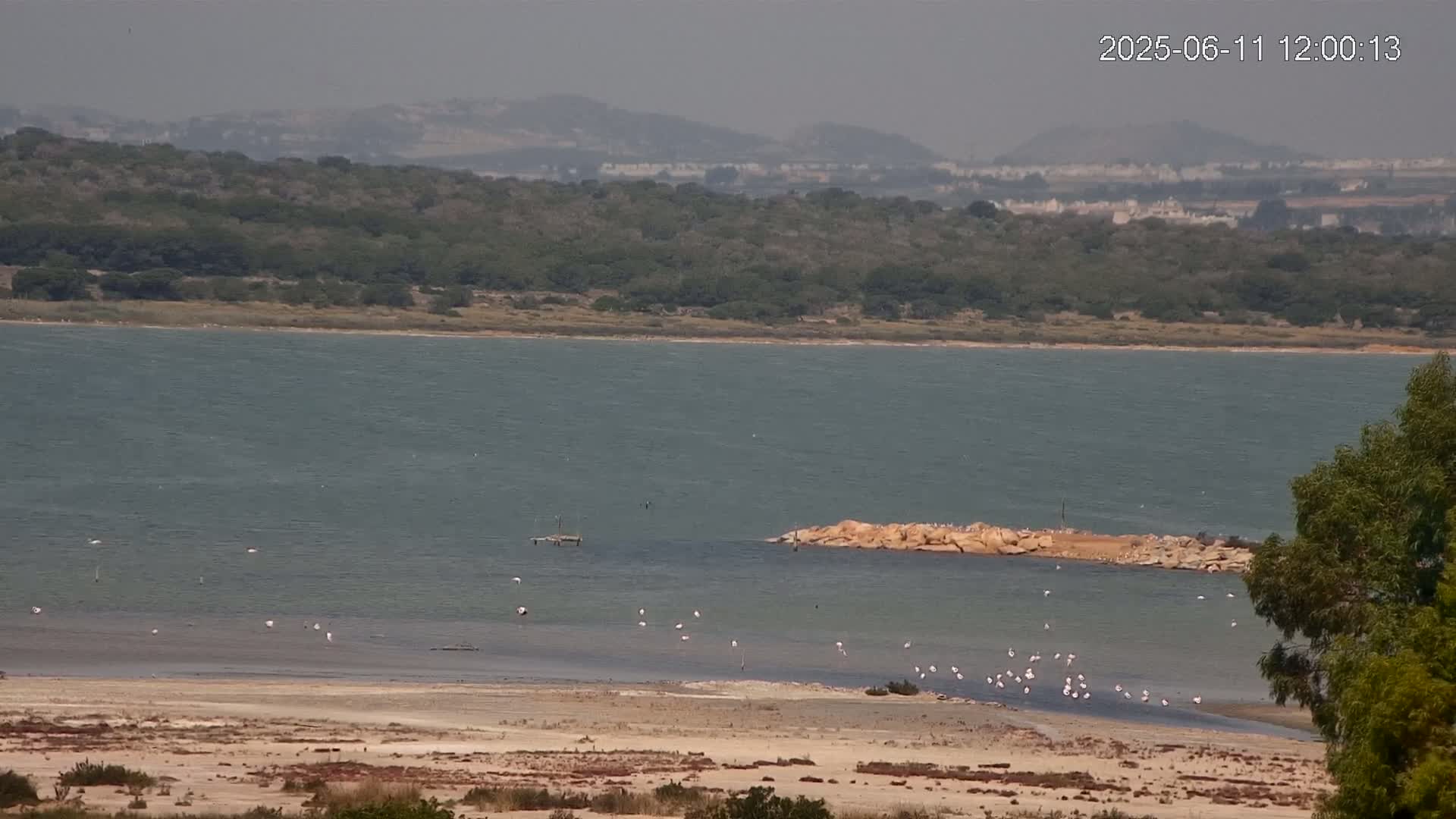 A hazy, sunny day reveals a calm body of water with a sandy shoreline, a rocky outcrop, and a flock of pink birds; a line of trees and distant hills are visible in the background.