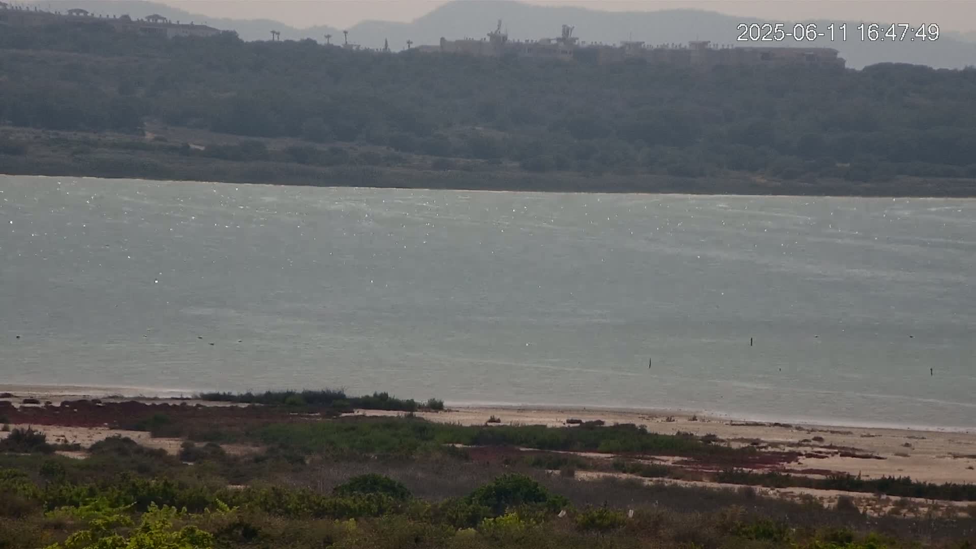 A calm body of water with a gently sloping sandy shore and low-lying vegetation in the foreground, backed by a hillside covered in dark green shrubs and distant buildings.