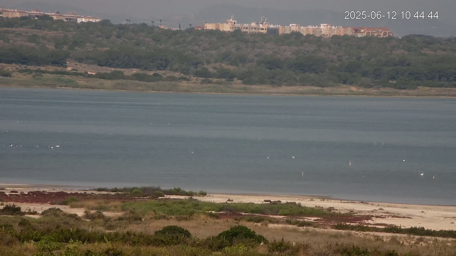 A calm, gray body of water stretches out before a gently sloping hill covered in low, green vegetation and a few buildings in the distance.