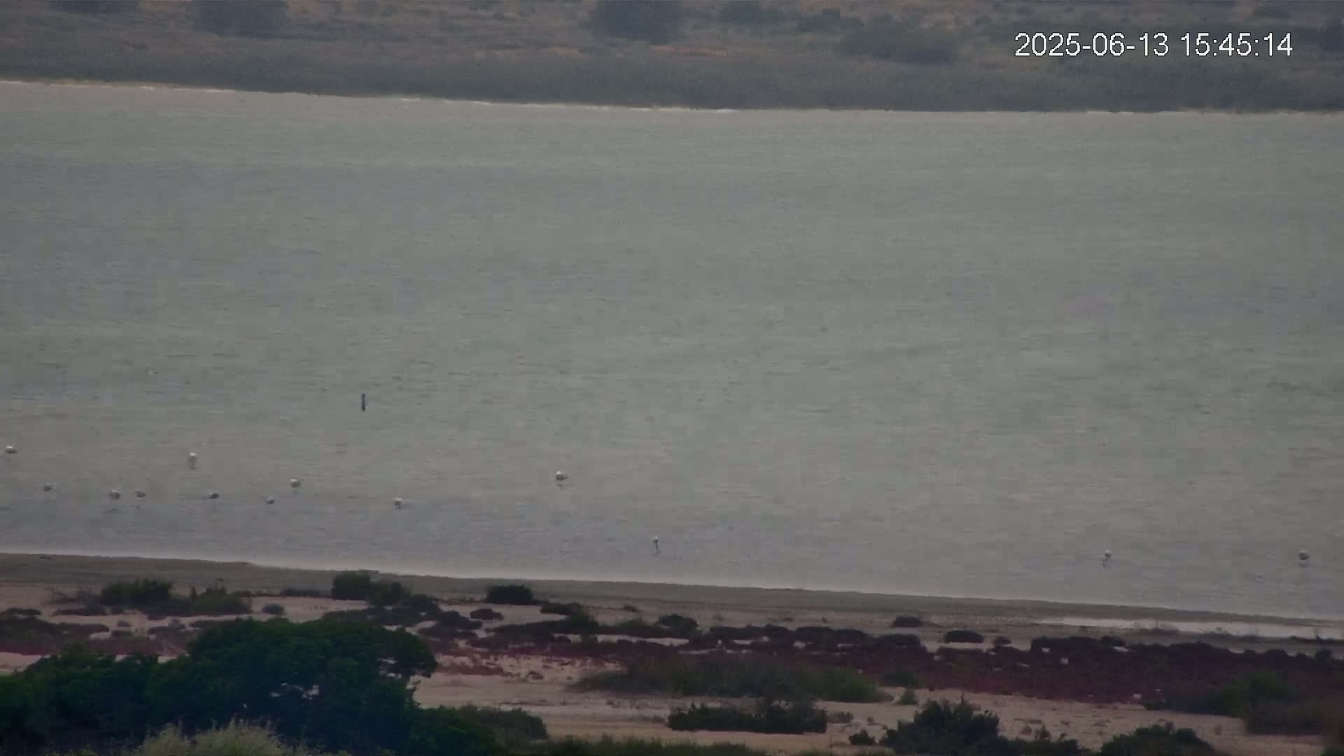 A large body of calm, gray water stretches to a shoreline with sparse vegetation and a few birds visible near the edge.