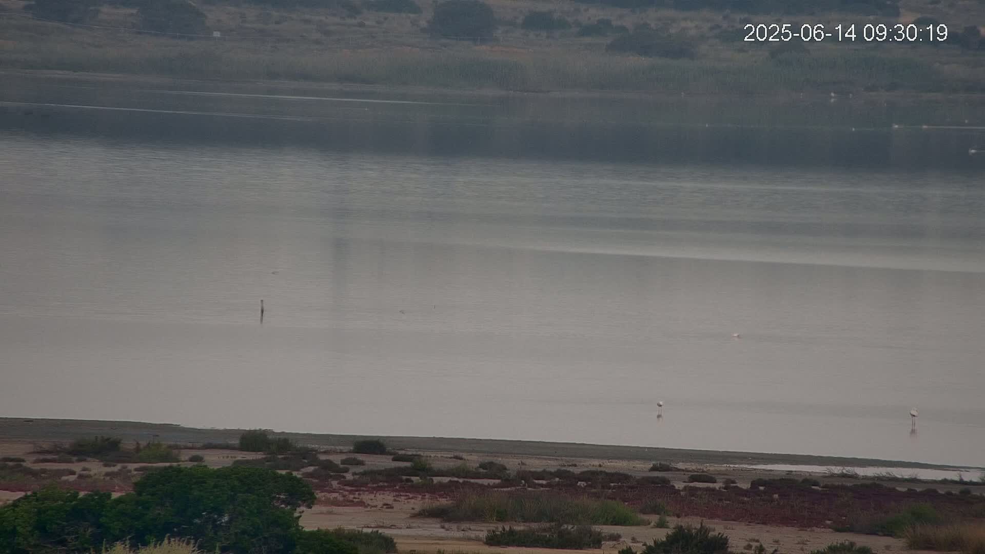 A calm, hazy body of water stretches to the horizon, with a few birds visible near the shore and sparse vegetation in the foreground.