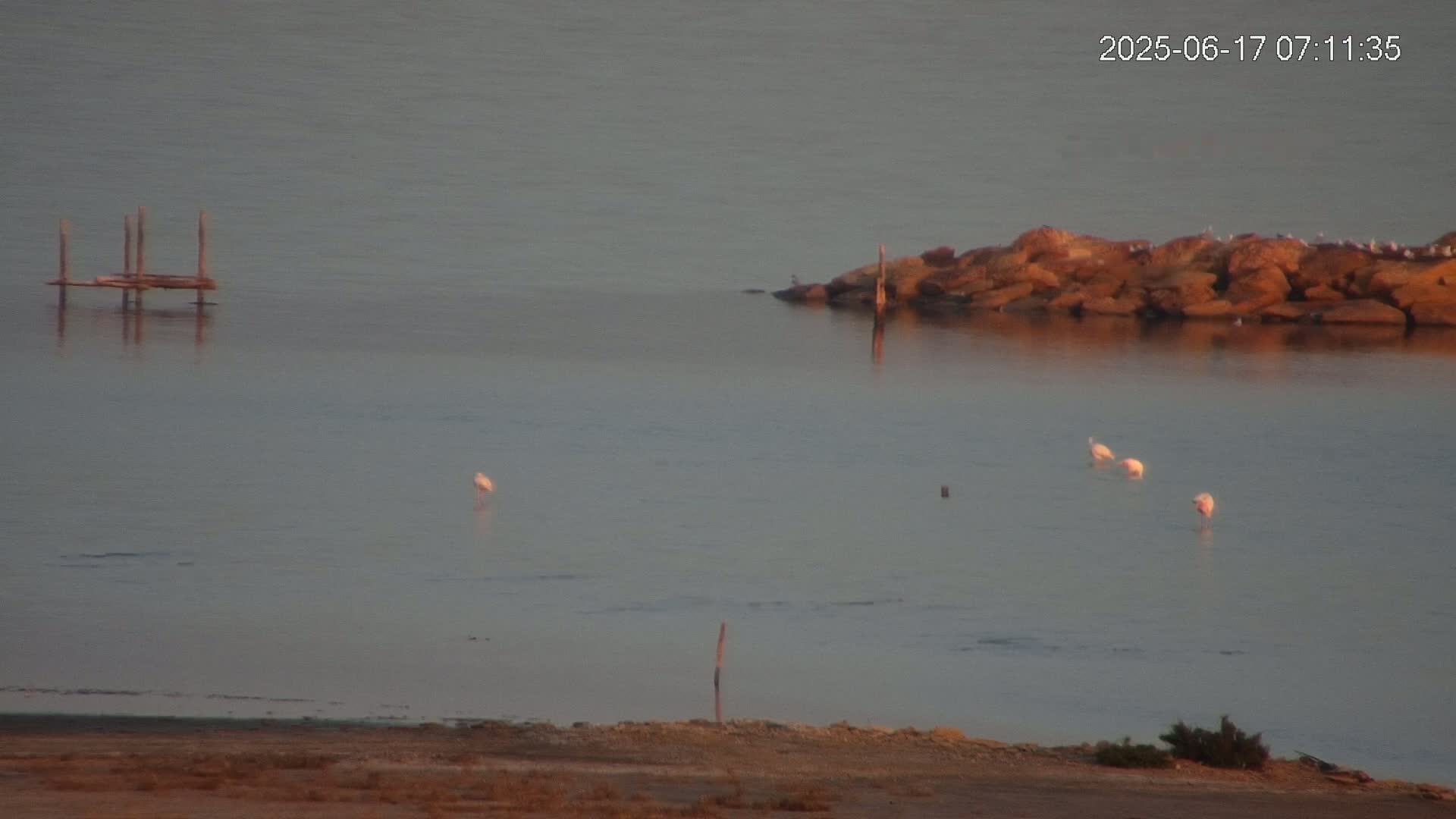Laguna Salada de La Mata Lagoon Lake & -Parque Natural Lagunas de La Mata y Torrevieja Natural Park Live Cam - Torrevieja, Alicante, Valencia, Spain 