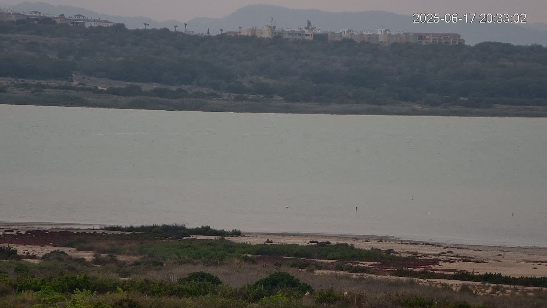A large body of calm, light-green water sits before a hill covered in dark-green vegetation and buildings, under an overcast sky.
