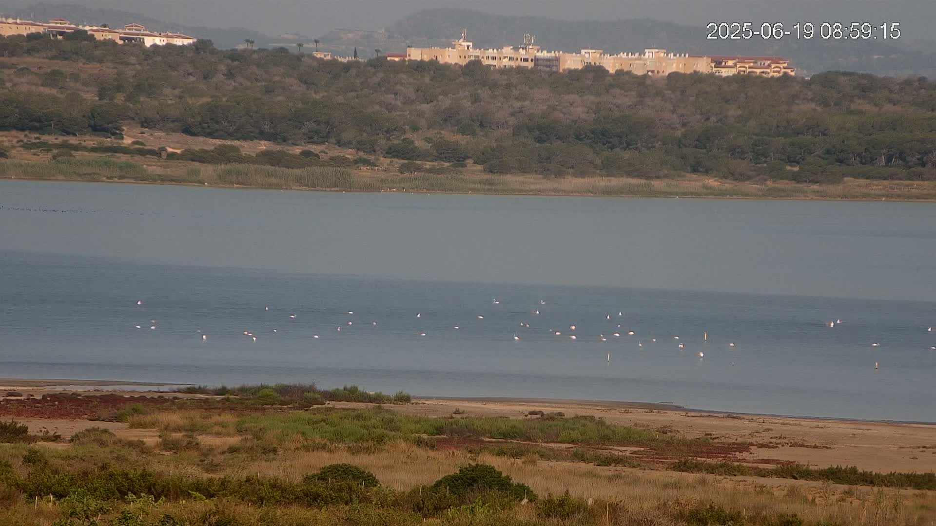 Laguna Salada de La Mata Lagoon Lake & -Parque Natural Lagunas de La Mata y Torrevieja Natural Park Live Cam - Torrevieja, Alicante, Valencia, Spain 