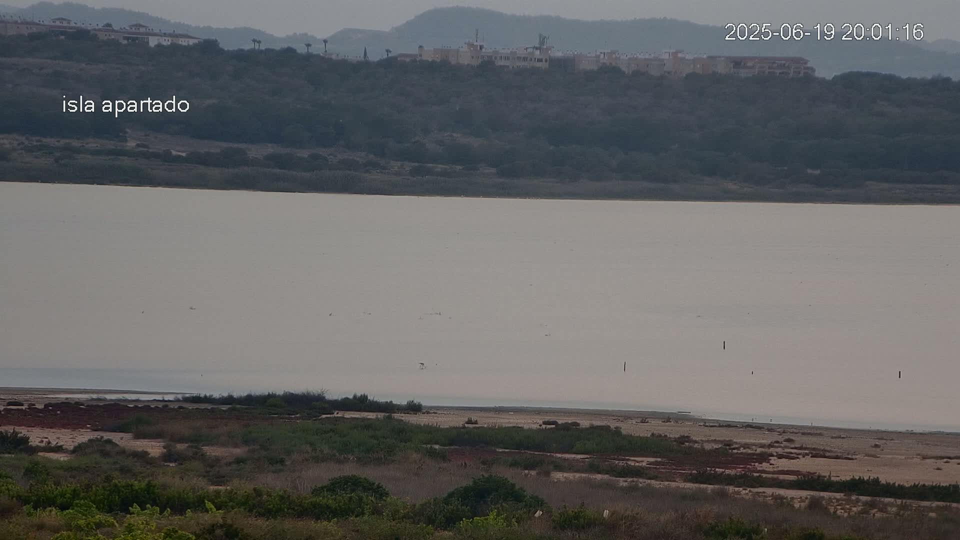 A large body of calm, light-grey water is visible, with a flat, scrubby shoreline in the foreground and a hill topped with buildings in the background, under an overcast sky.
