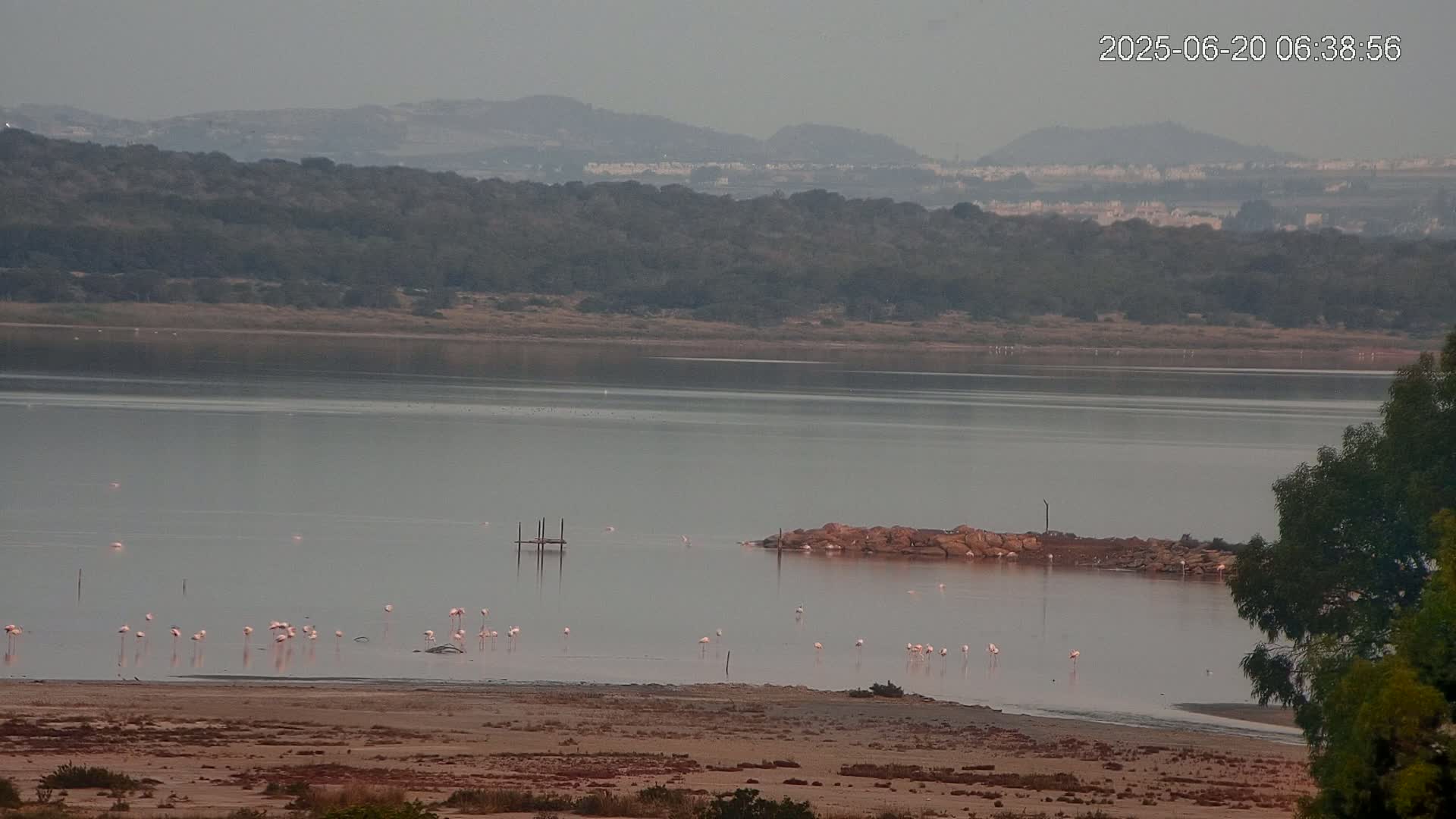 Laguna Salada de La Mata Lagoon Lake & -Parque Natural Lagunas de La Mata y Torrevieja Natural Park Live Cam - Torrevieja, Alicante, Valencia, Spain 