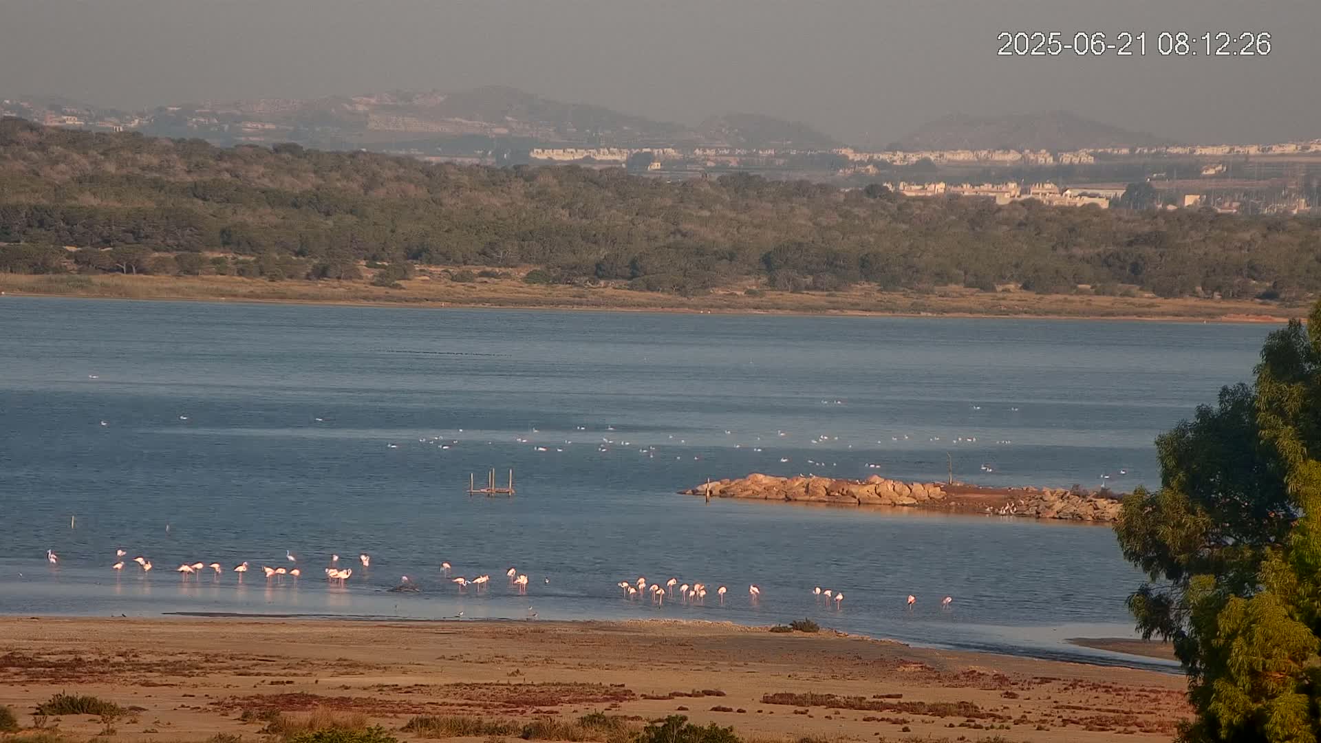 Laguna Salada de La Mata Lagoon Lake & -Parque Natural Lagunas de La Mata y Torrevieja Natural Park Live Cam - Torrevieja, Alicante, Valencia, Spain 