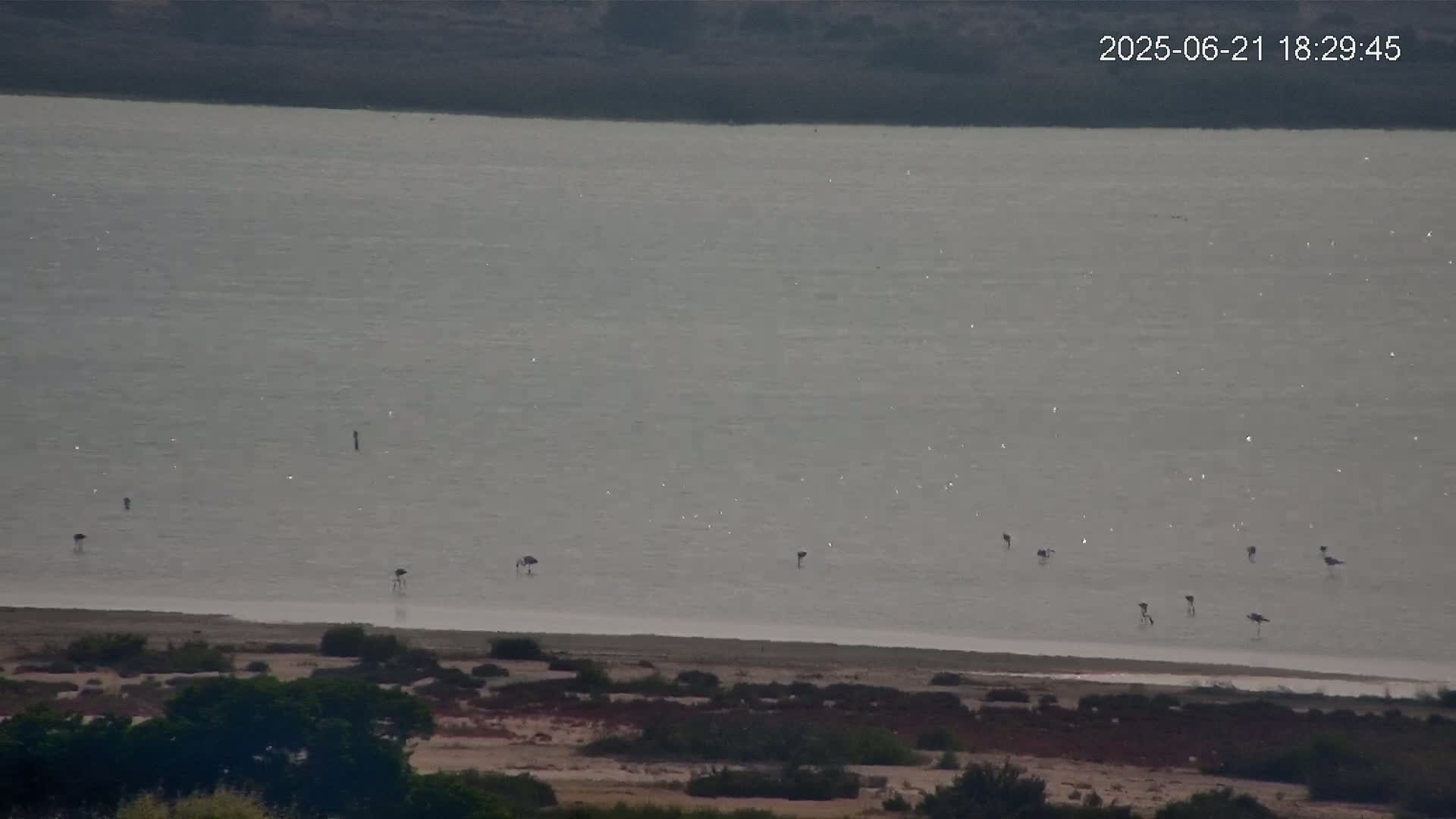 A large body of calm, light-grey water, with several dark birds wading near the shore, is viewed from a high vantage point overlooking scrubland.