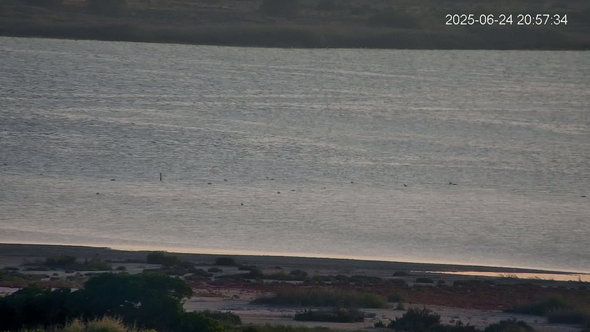A large body of calm water is visible, with a few birds on its surface, next to a shoreline with sparse vegetation under a dusky sky.