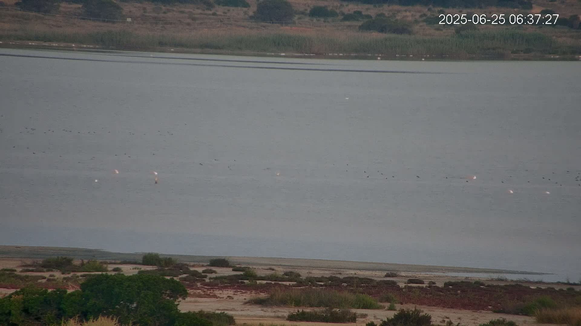 Laguna Salada de La Mata Lagoon Lake & -Parque Natural Lagunas de La Mata y Torrevieja Natural Park Live Cam - Torrevieja, Alicante, Valencia, Spain 