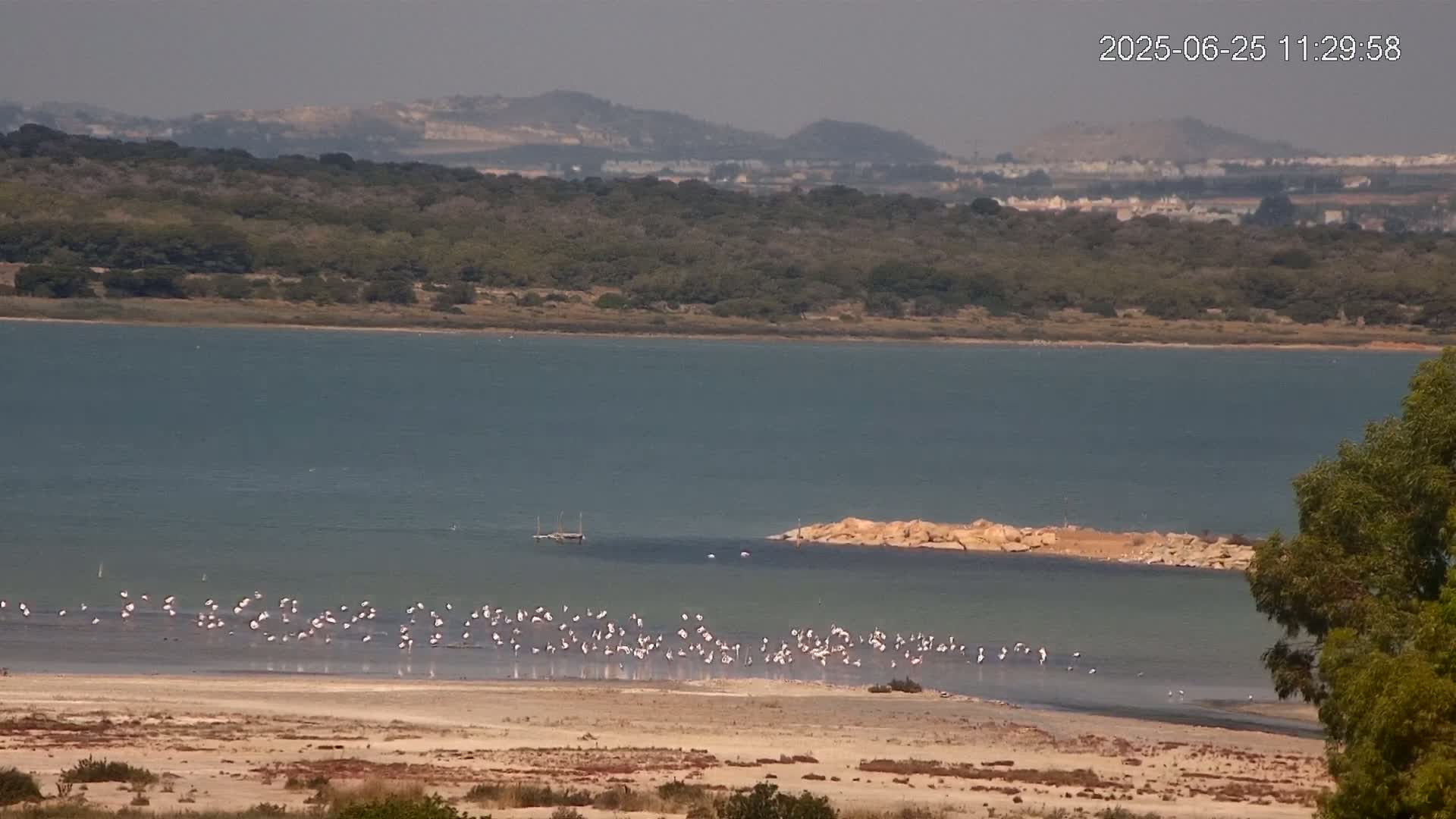 Laguna Salada de La Mata Lagoon Lake & -Parque Natural Lagunas de La Mata y Torrevieja Natural Park Live Cam - Torrevieja, Alicante, Valencia, Spain 