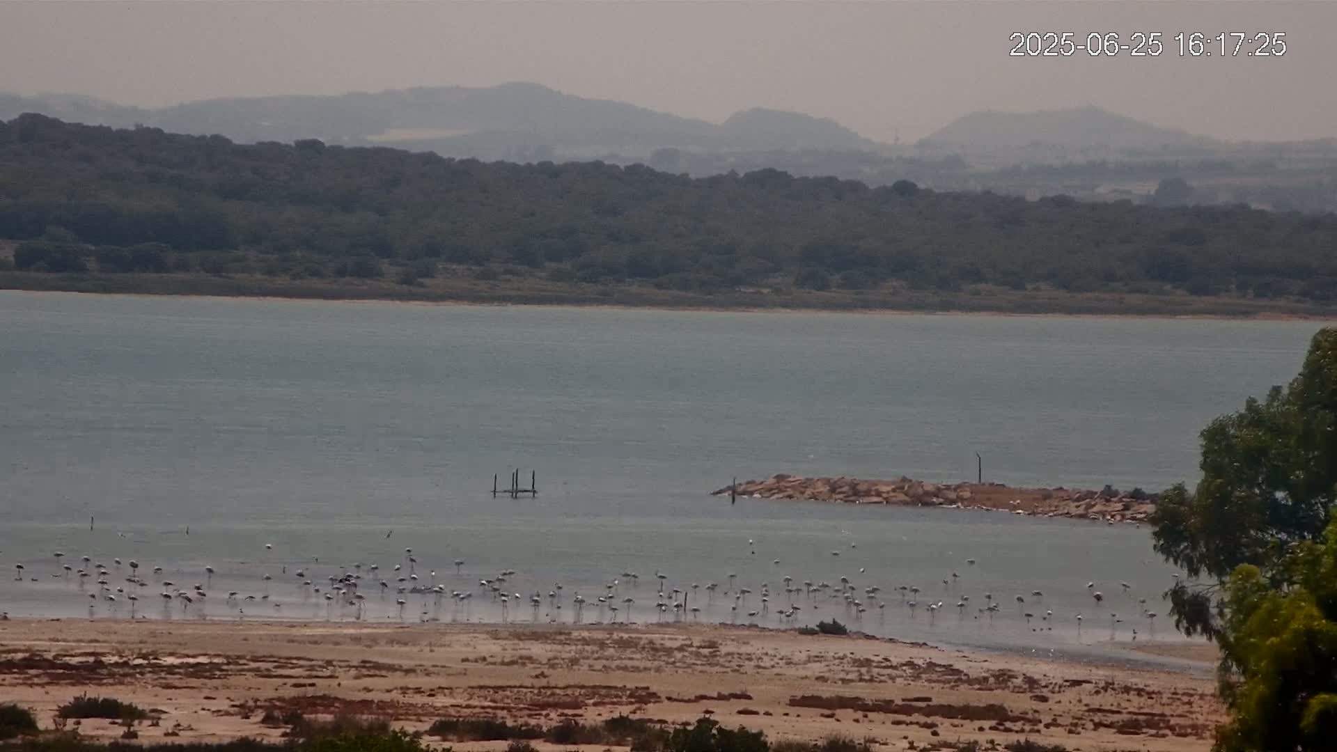 Laguna Salada de La Mata Lagoon Lake & -Parque Natural Lagunas de La Mata y Torrevieja Natural Park Live Cam - Torrevieja, Alicante, Valencia, Spain 