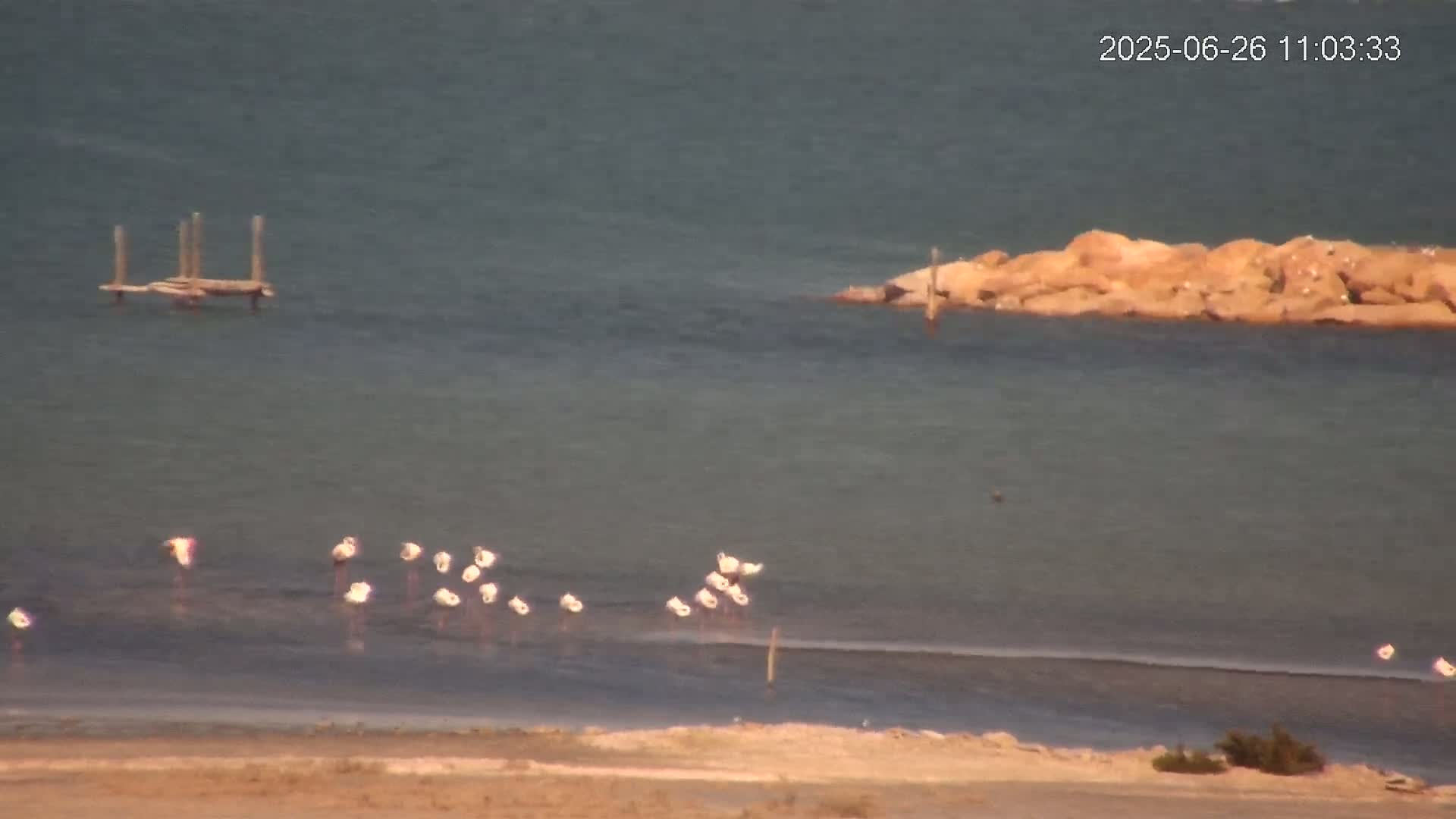 Laguna Salada de La Mata Lagoon Lake & -Parque Natural Lagunas de La Mata y Torrevieja Natural Park Live Cam - Torrevieja, Alicante, Valencia, Spain 