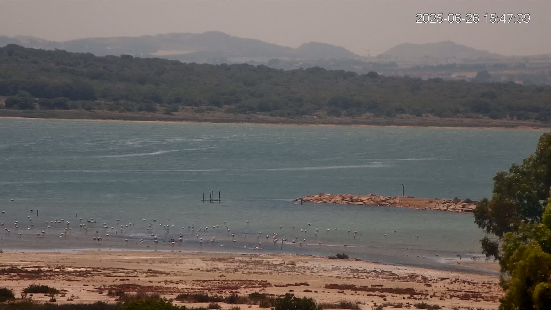 Laguna Salada de La Mata Lagoon Lake & -Parque Natural Lagunas de La Mata y Torrevieja Natural Park Live Cam - Torrevieja, Alicante, Valencia, Spain 