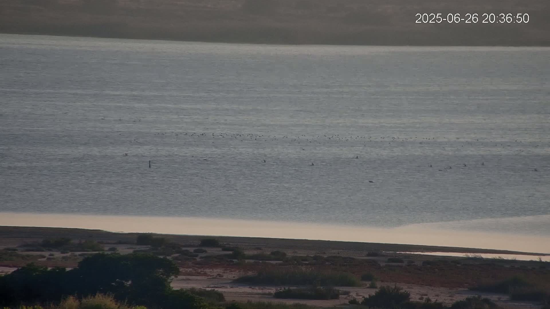 Laguna Salada de La Mata Lagoon Lake & -Parque Natural Lagunas de La Mata y Torrevieja Natural Park Live Cam - Torrevieja, Alicante, Valencia, Spain 