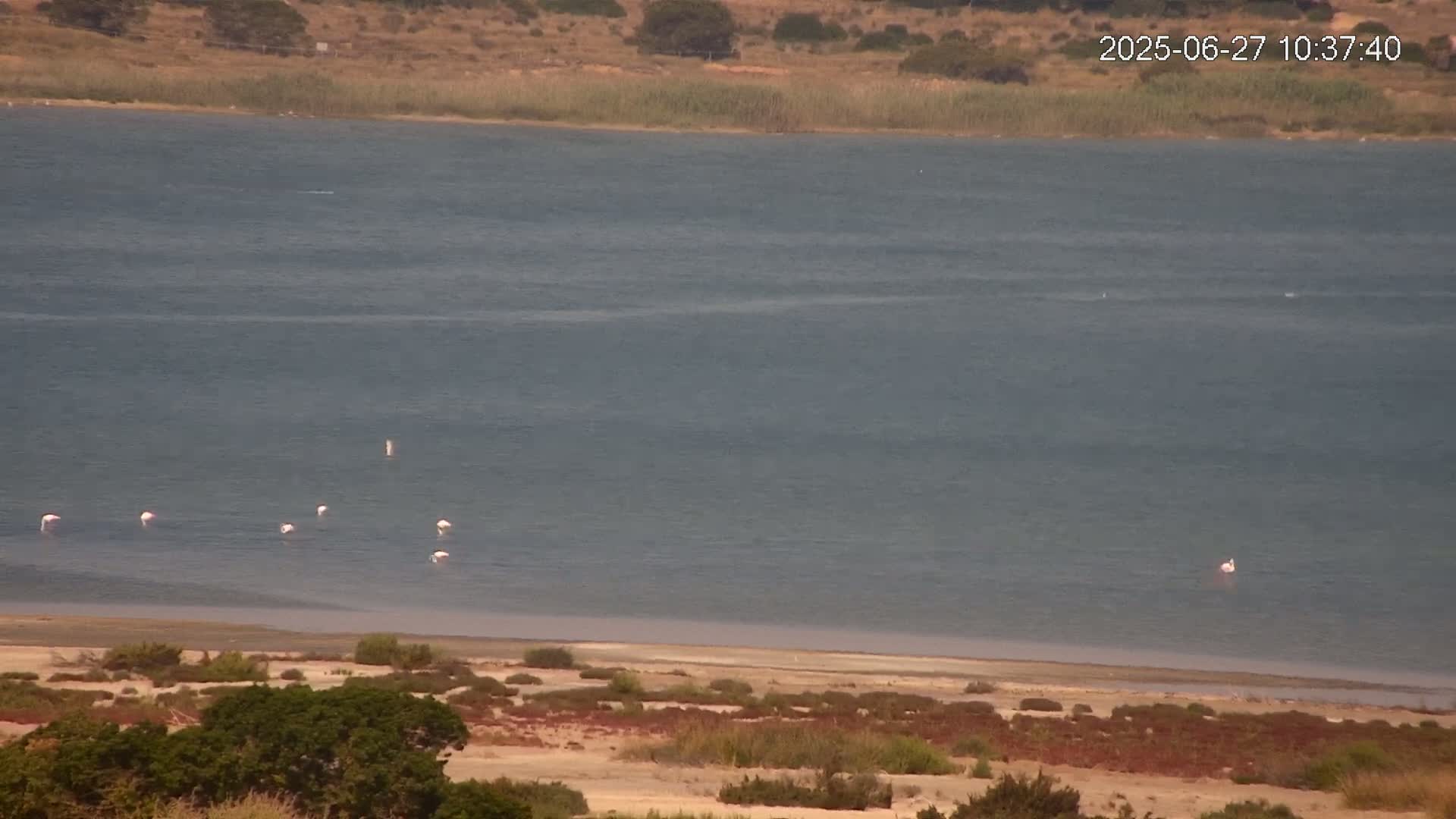Laguna Salada de La Mata Lagoon Lake & -Parque Natural Lagunas de La Mata y Torrevieja Natural Park Live Cam - Torrevieja, Alicante, Valencia, Spain 