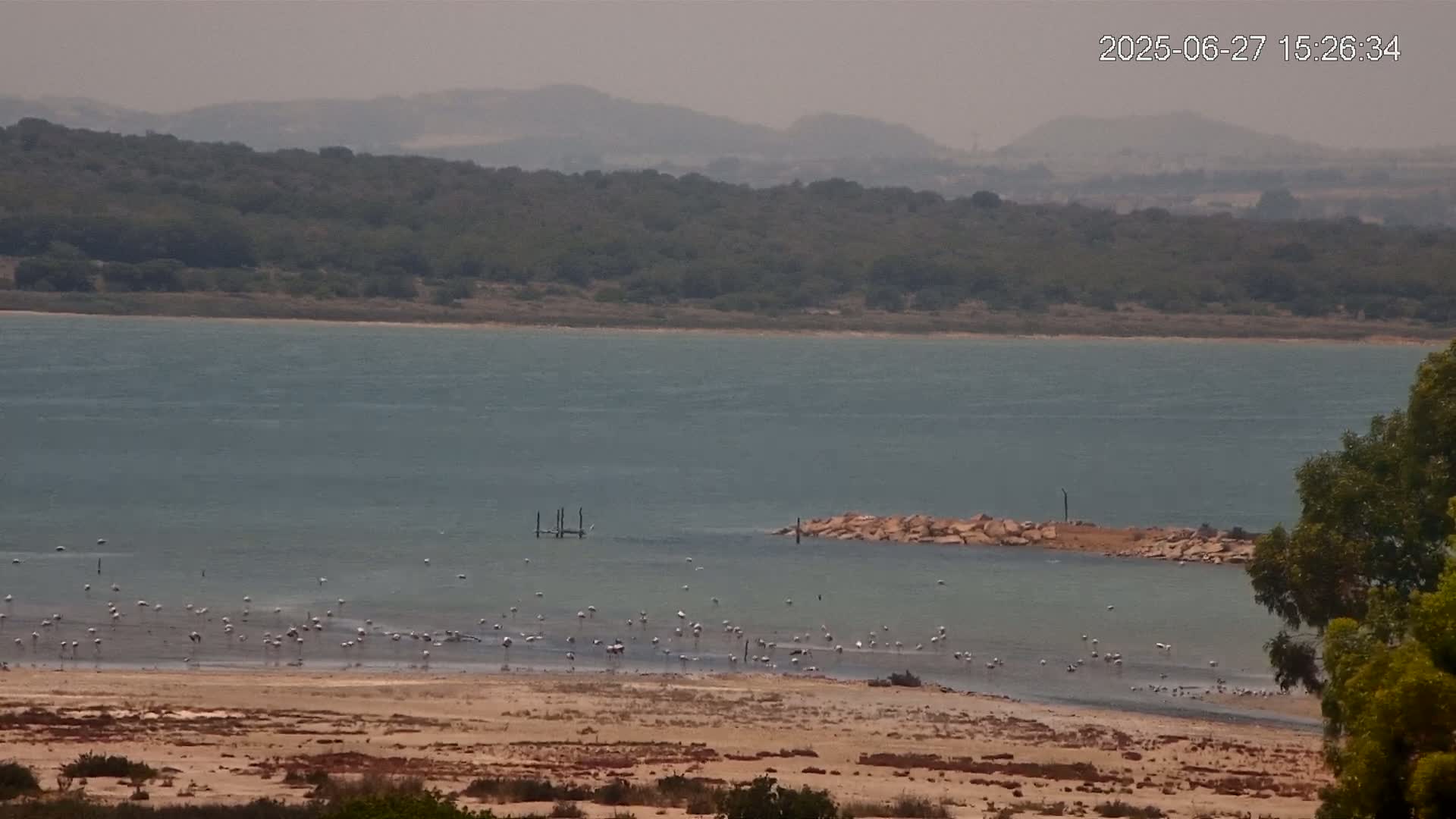 Laguna Salada de La Mata Lagoon Lake & -Parque Natural Lagunas de La Mata y Torrevieja Natural Park Live Cam - Torrevieja, Alicante, Valencia, Spain 