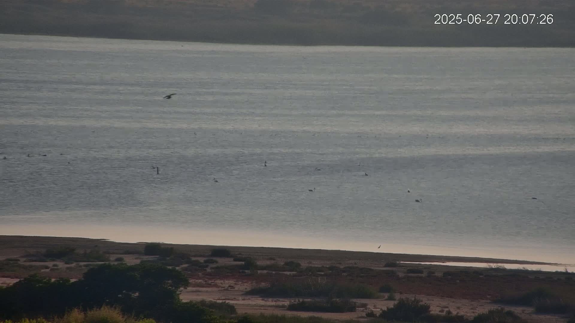 Laguna Salada de La Mata Lagoon Lake & -Parque Natural Lagunas de La Mata y Torrevieja Natural Park Live Cam - Torrevieja, Alicante, Valencia, Spain 