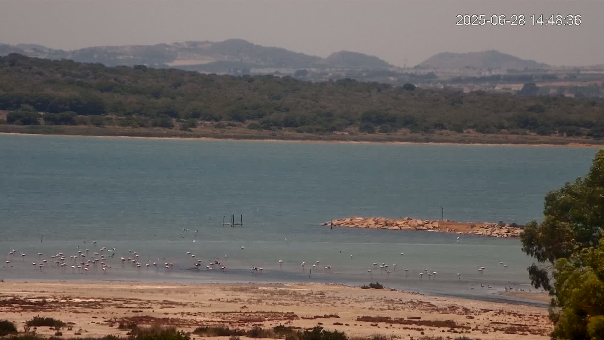 Laguna Salada de La Mata Lagoon Lake & -Parque Natural Lagunas de La Mata y Torrevieja Natural Park Live Cam - Torrevieja, Alicante, Valencia, Spain 