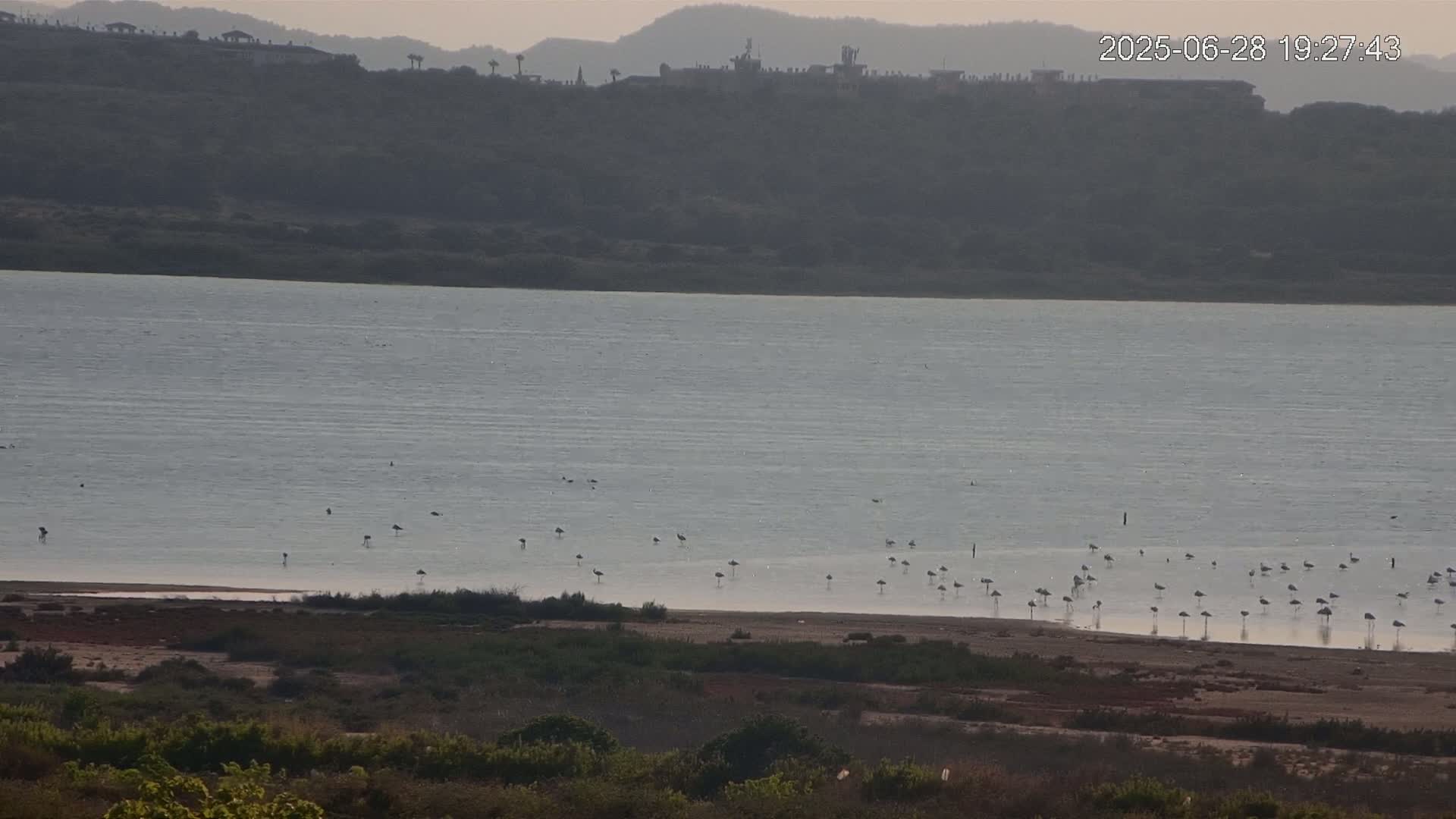 Laguna Salada de La Mata Lagoon Lake & -Parque Natural Lagunas de La Mata y Torrevieja Natural Park Live Cam - Torrevieja, Alicante, Valencia, Spain 