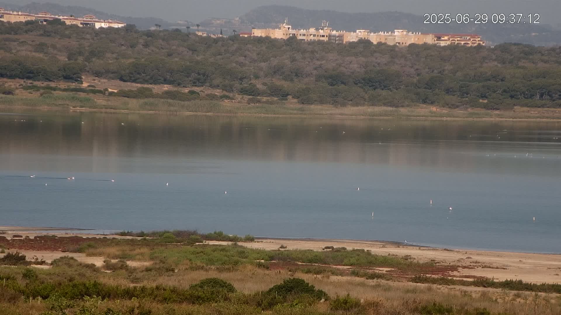 A calm body of water reflects a hazy sky and a distant hill dotted with buildings and vegetation.