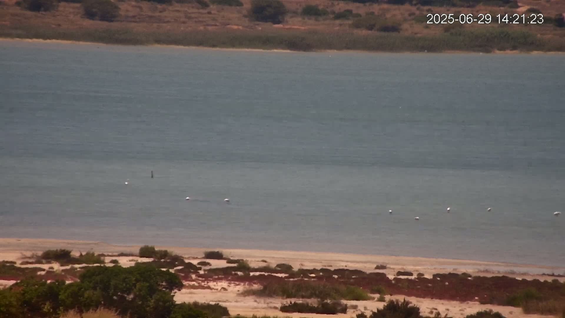Laguna Salada de La Mata Lagoon Lake & -Parque Natural Lagunas de La Mata y Torrevieja Natural Park Live Cam - Torrevieja, Alicante, Valencia, Spain 