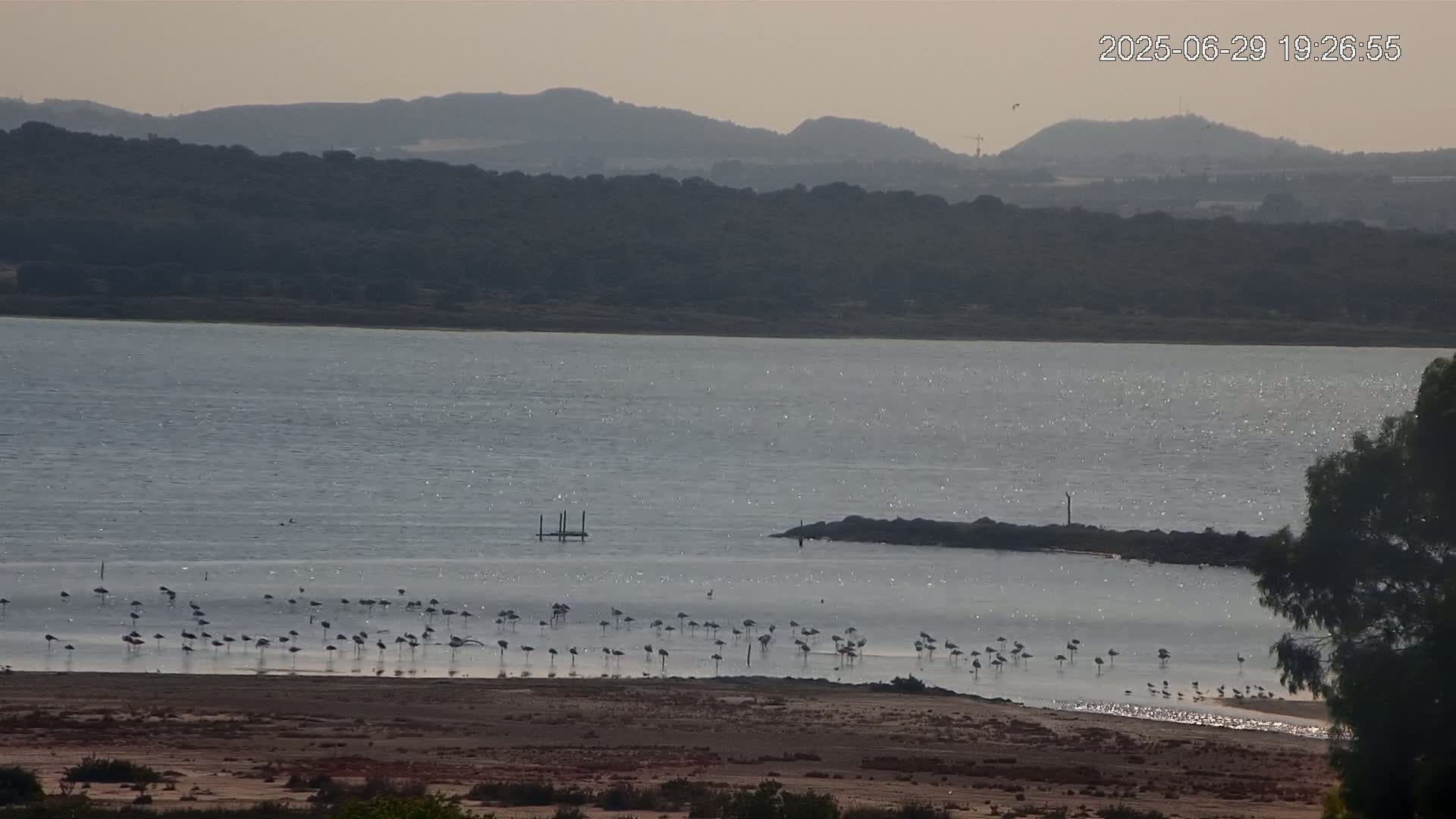 Laguna Salada de La Mata Lagoon Lake & -Parque Natural Lagunas de La Mata y Torrevieja Natural Park Live Cam - Torrevieja, Alicante, Valencia, Spain 