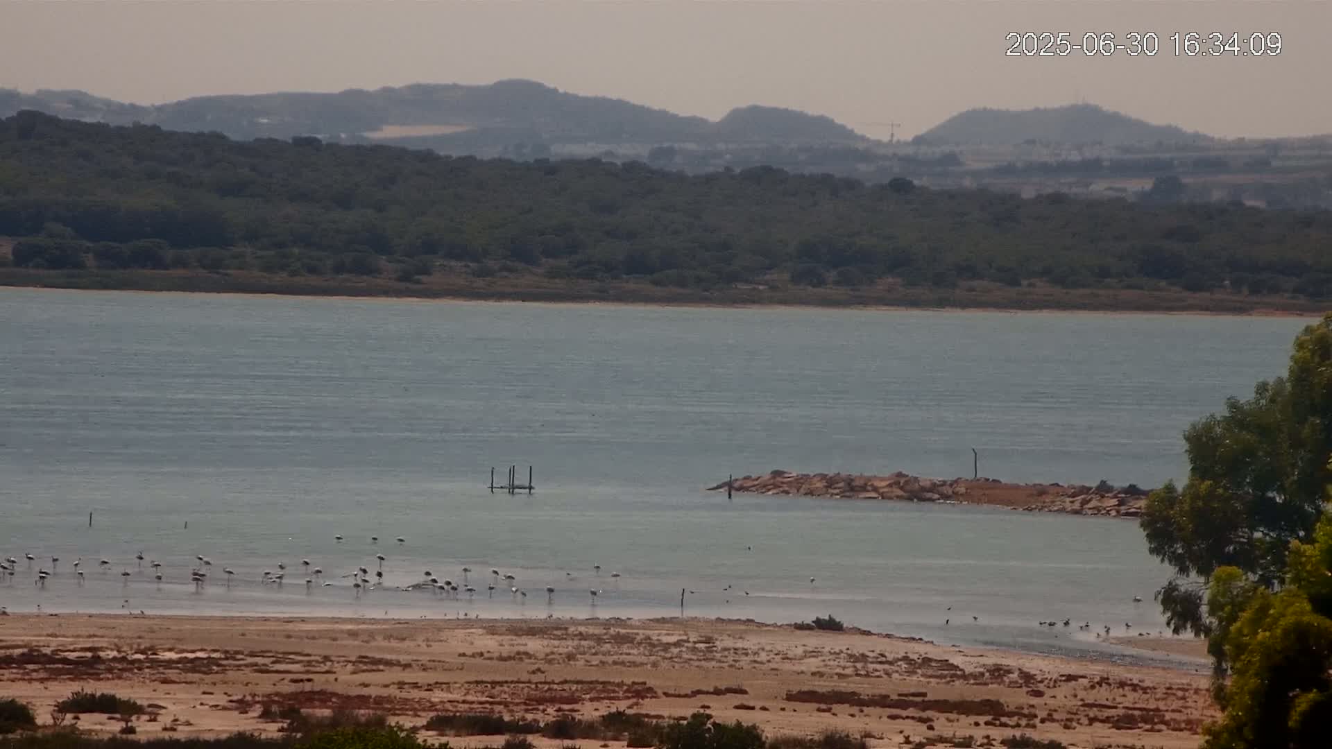 Laguna Salada de La Mata Lagoon Lake & -Parque Natural Lagunas de La Mata y Torrevieja Natural Park Live Cam - Torrevieja, Alicante, Valencia, Spain 