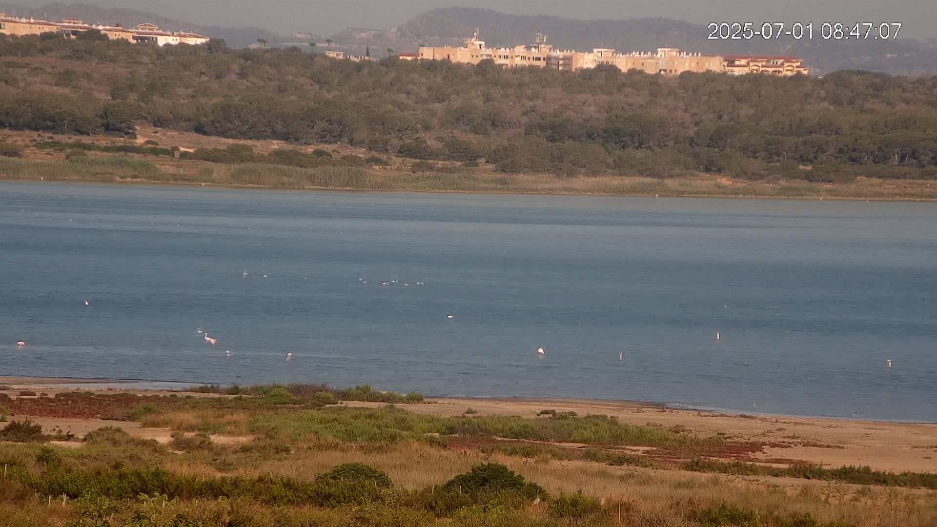 Laguna Salada de La Mata Lagoon Lake & -Parque Natural Lagunas de La Mata y Torrevieja Natural Park Live Cam - Torrevieja, Alicante, Valencia, Spain 
