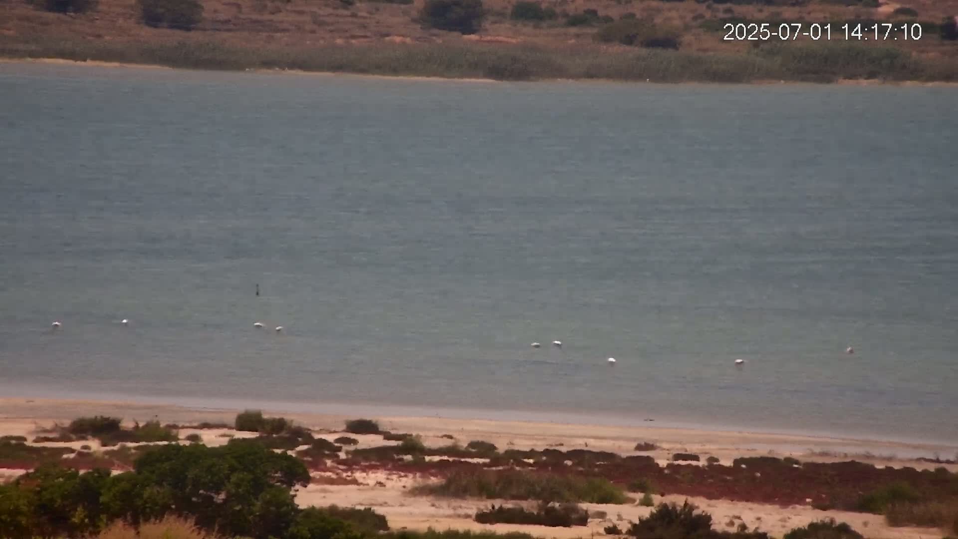 Laguna Salada de La Mata Lagoon Lake & -Parque Natural Lagunas de La Mata y Torrevieja Natural Park Live Cam - Torrevieja, Alicante, Valencia, Spain 