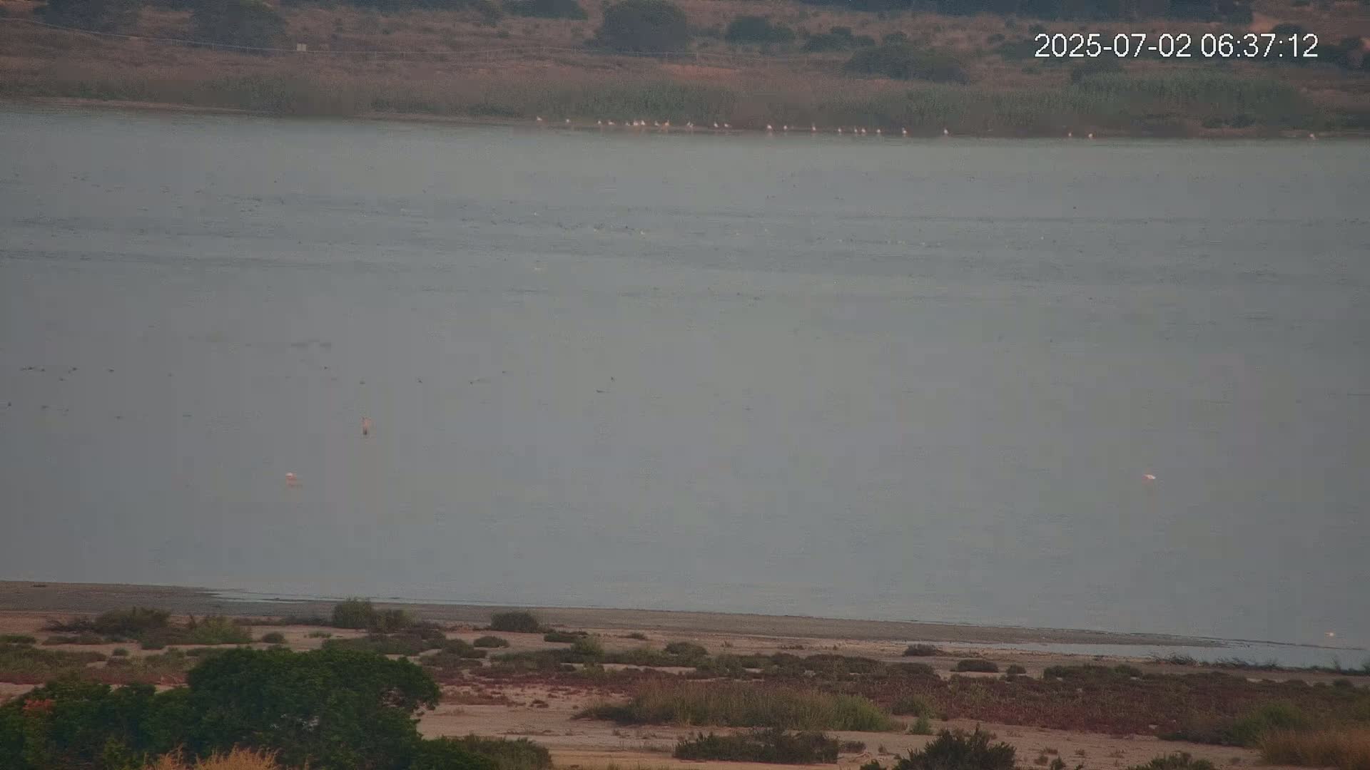 Laguna Salada de La Mata Lagoon Lake & -Parque Natural Lagunas de La Mata y Torrevieja Natural Park Live Cam - Torrevieja, Alicante, Valencia, Spain 