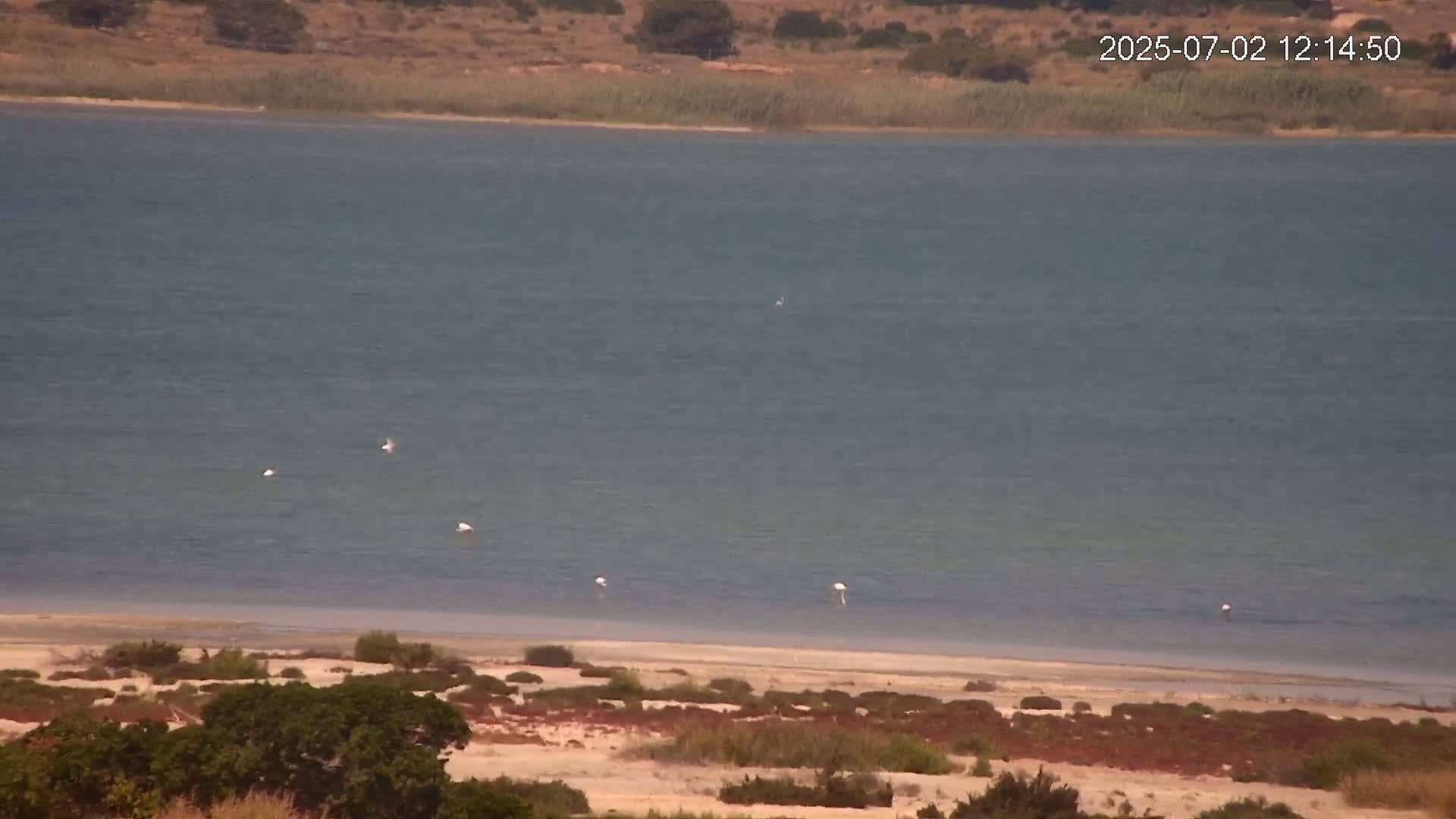 Laguna Salada de La Mata Lagoon Lake & -Parque Natural Lagunas de La Mata y Torrevieja Natural Park Live Cam - Torrevieja, Alicante, Valencia, Spain 