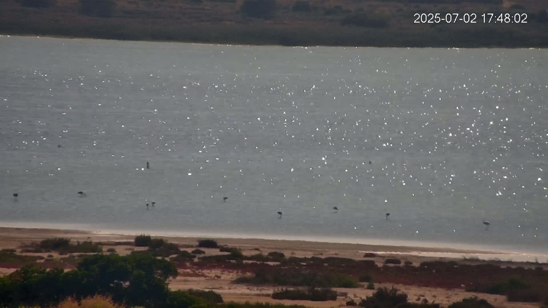 Laguna Salada de La Mata Lagoon Lake & -Parque Natural Lagunas de La Mata y Torrevieja Natural Park Live Cam - Torrevieja, Alicante, Valencia, Spain 